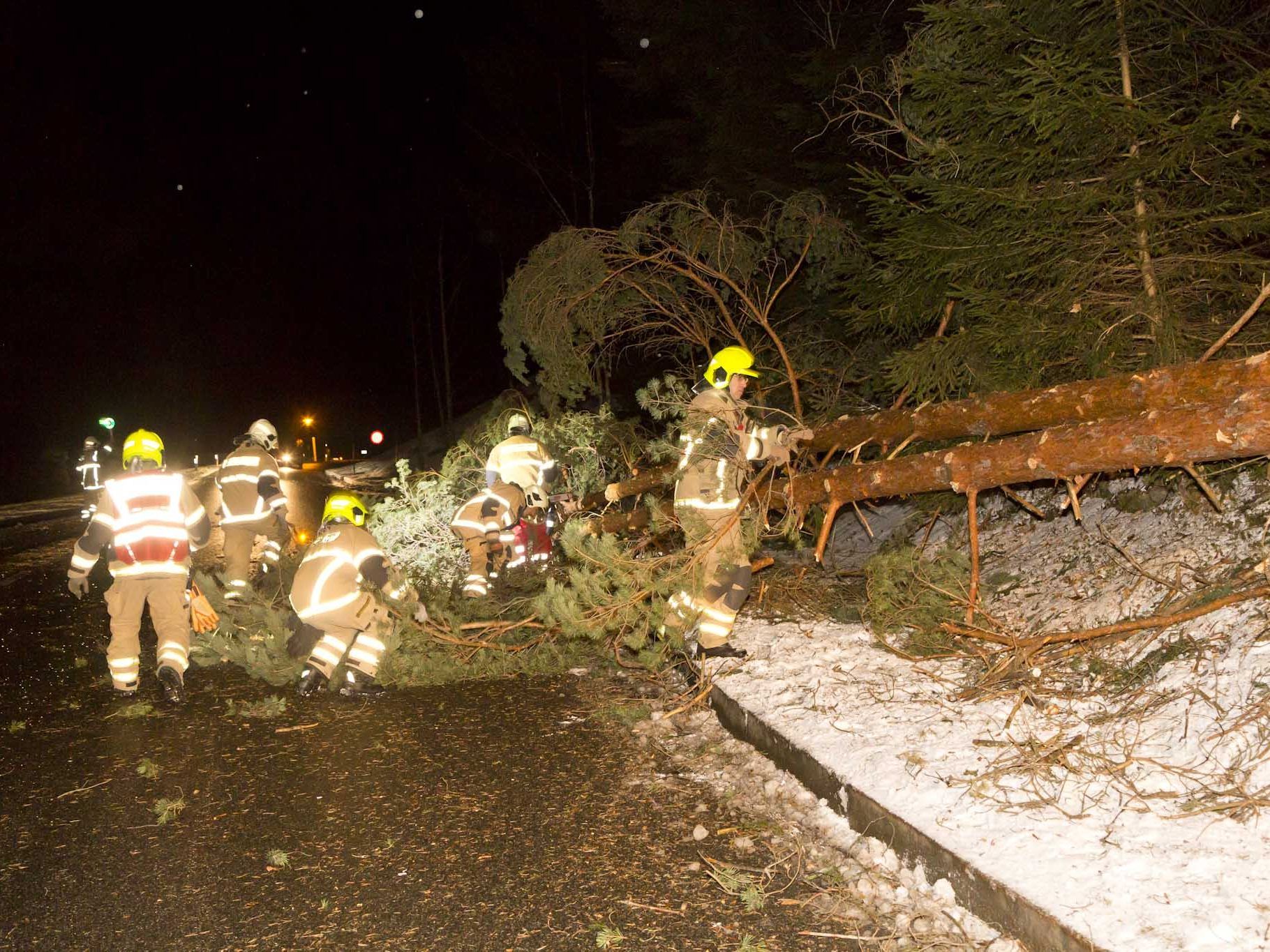 Ein Baum stürzte in Übersaxen auf die Straße.