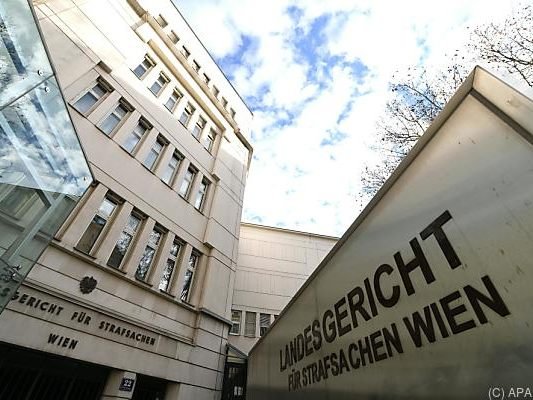 Prozess im Wiener Straflandesgericht begann am Mittwoch Prozess im Wiener Straflandesgericht begann am Mittwoch