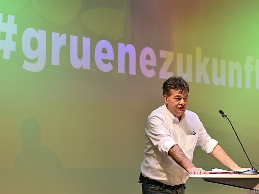 Bundessprecher Kogler vor der grünen Zukunft