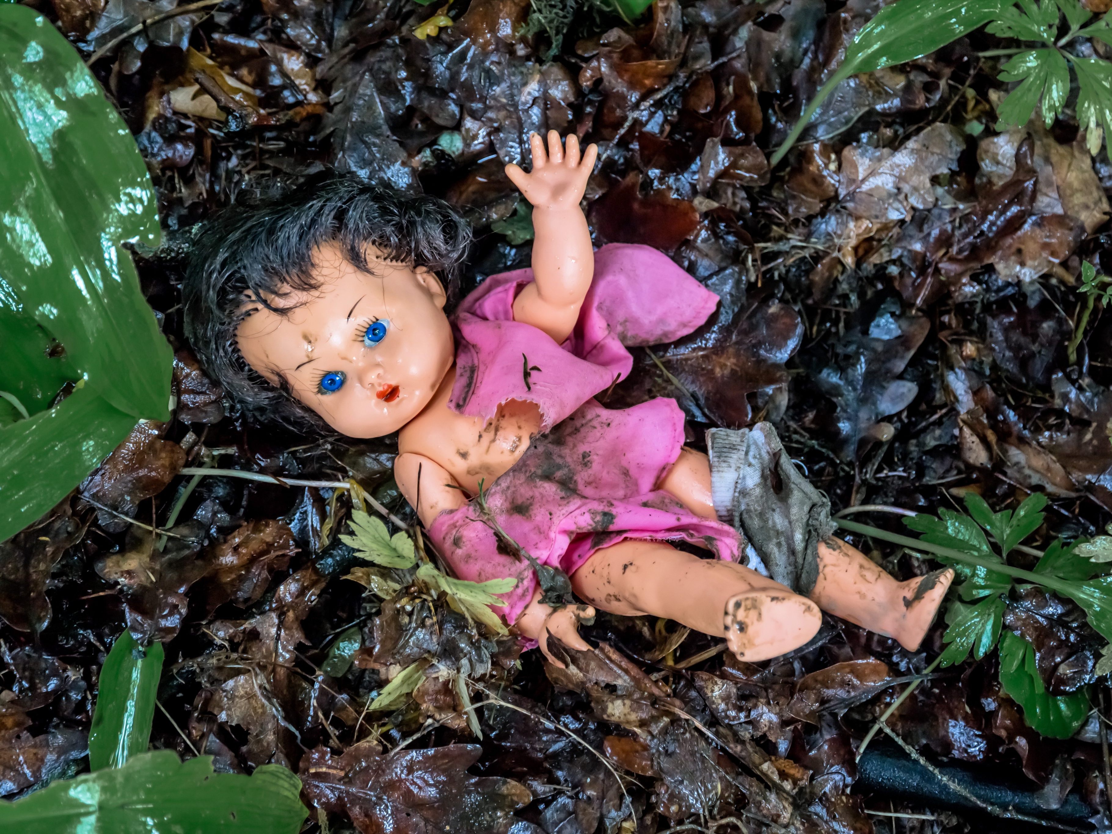 Im Bezirk Gänserndorf ist Donnerstagfrüh ein Kommunalpolitiker wegen Verdachts des sexuellen Missbrauchs Unmündiger festgenommen worden.