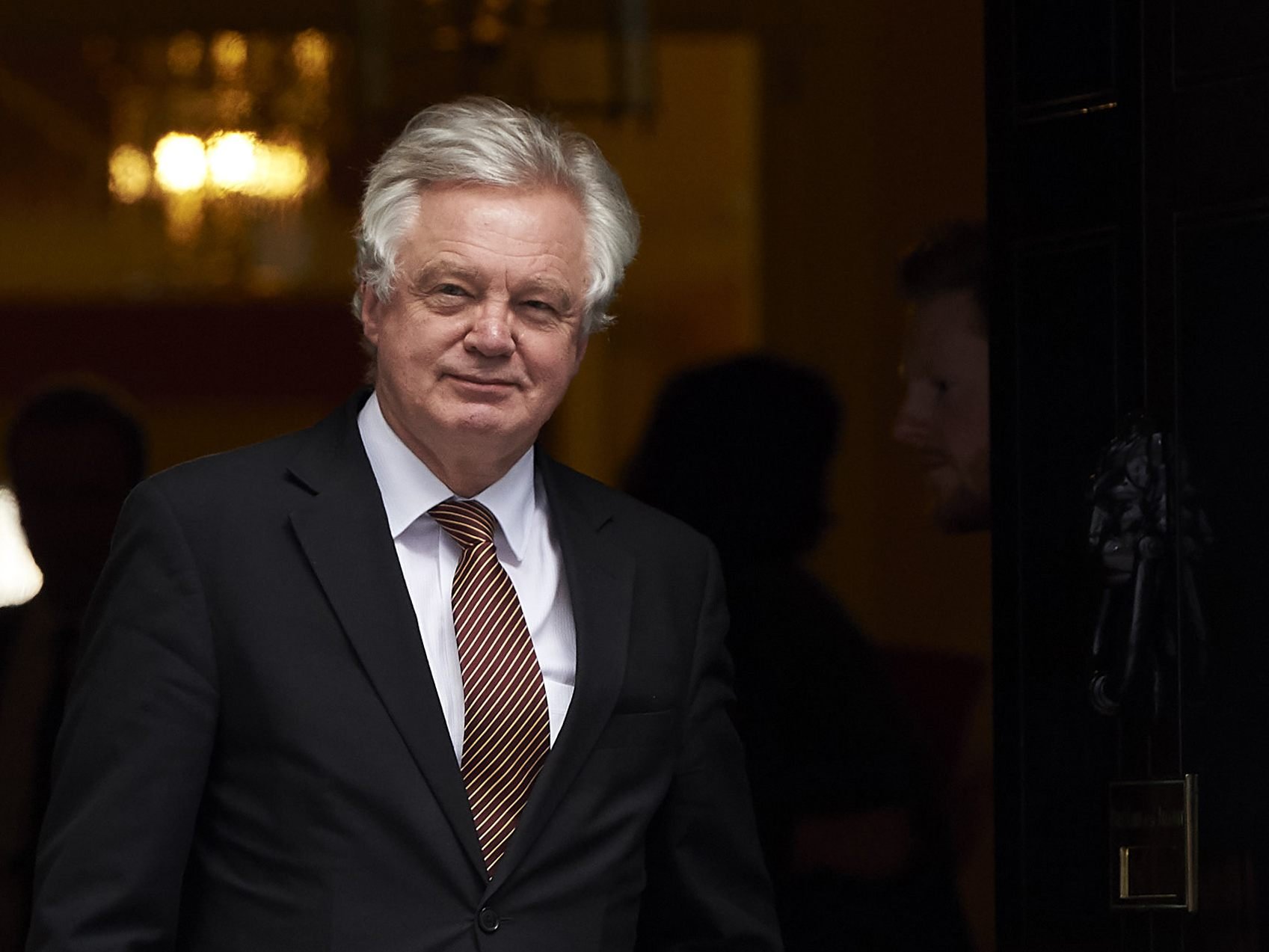 David Davis wird zu einer Rede in Wien verweilen