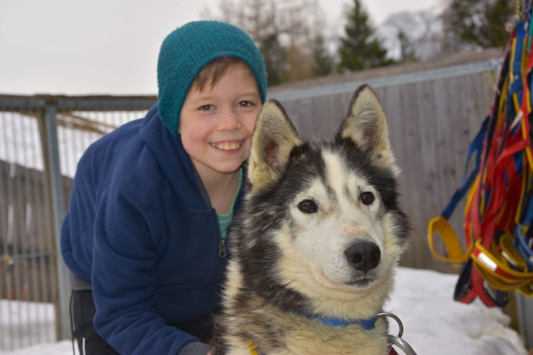 Husky Tonis Kindertraum auf der Tschengla Husky Tonis Kindertraum auf der Tschengla