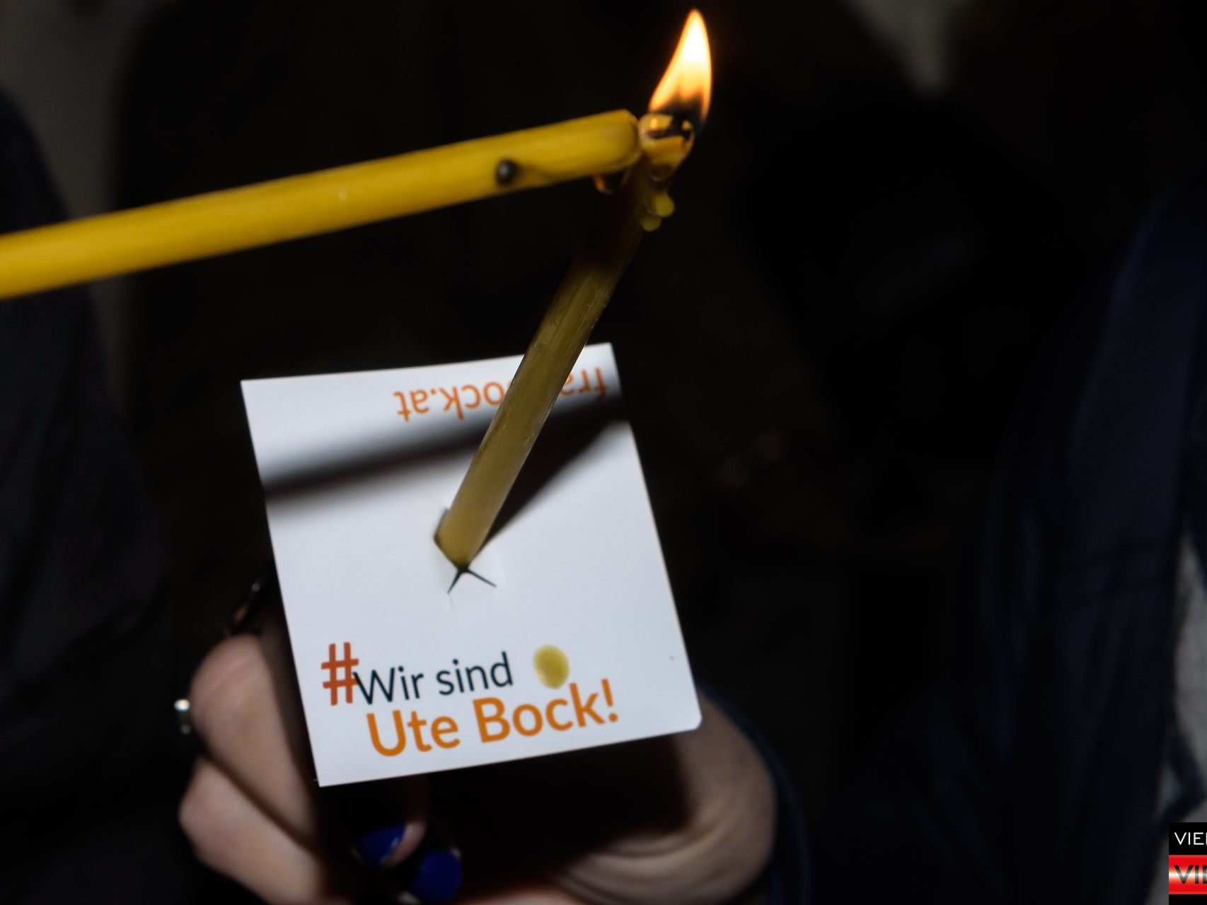 Lichtermeer für Uta Bock - Heldenplatz - 02.02.2018 Teil 1/2