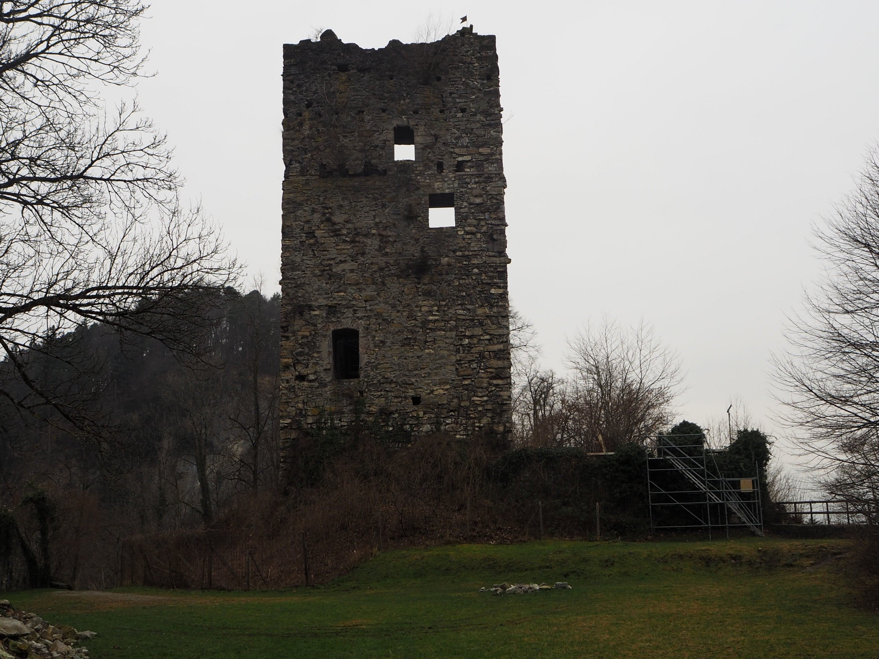 Blick vom Innenhof auf die Burgruine Neu Montfort Blick vom Innenhof auf die Burgruine Neu Montfort