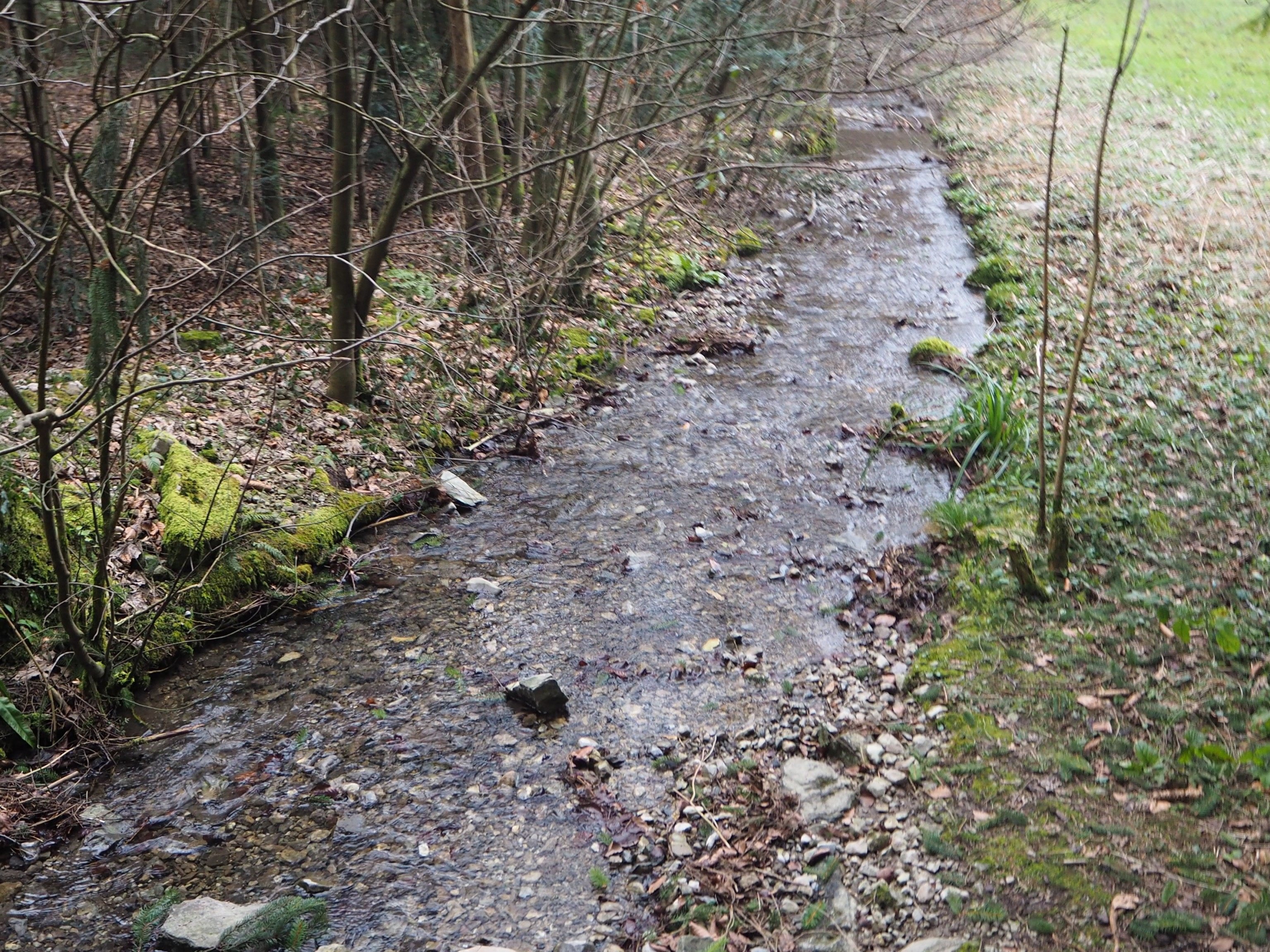 Mannigfaltige Naturlandschaften
