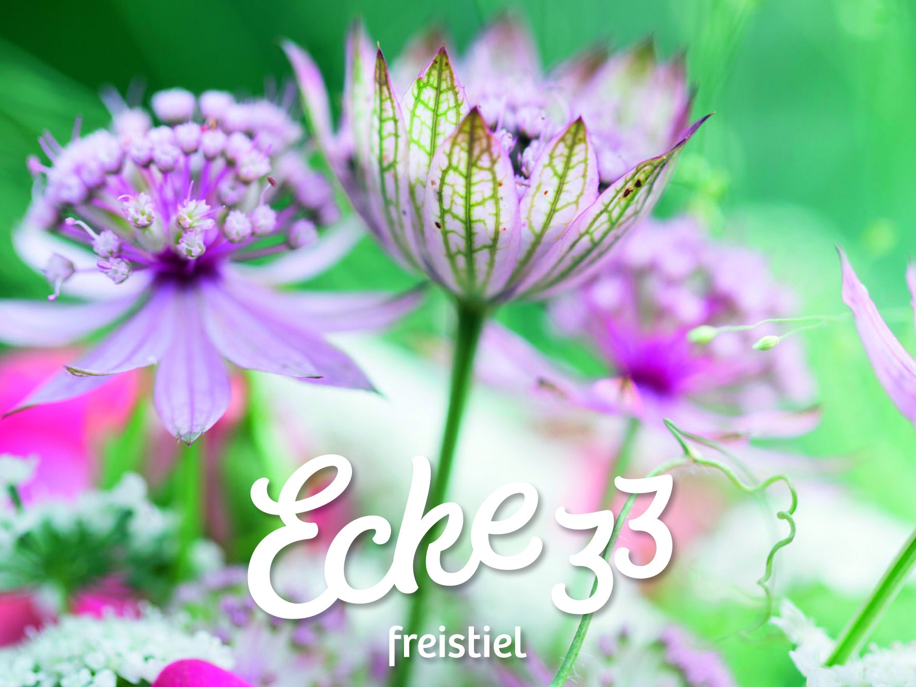 ecke33
