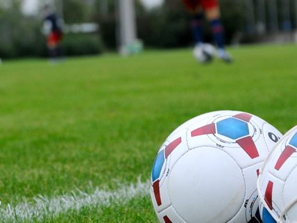 LIVE-Ticker zum Spiel SC Wiener Neustadt gegen WSG Wattens ab 18.30 Uhr.