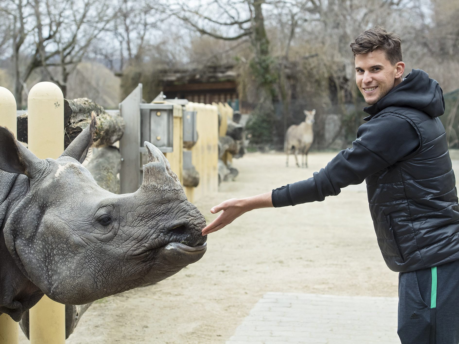 Dominic Thiem besuchte das Panzernashorn im Wiener Tiergarten Schönbrunn.