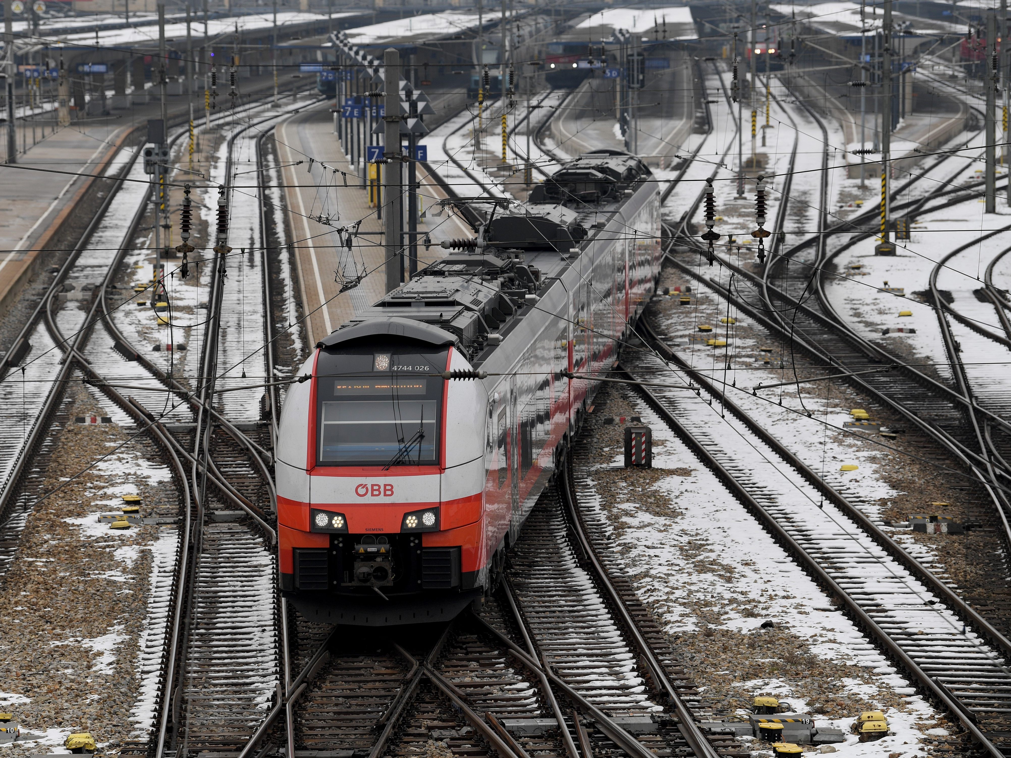 Trotz Vollbremsung konnte eine Kollision nicht verhindert werden.