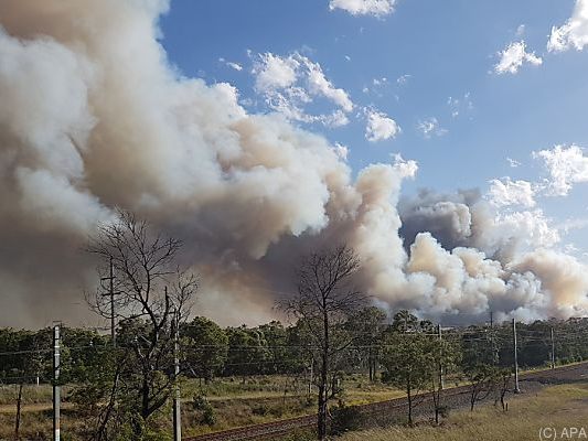 Buschfeuer nahe Sydney
