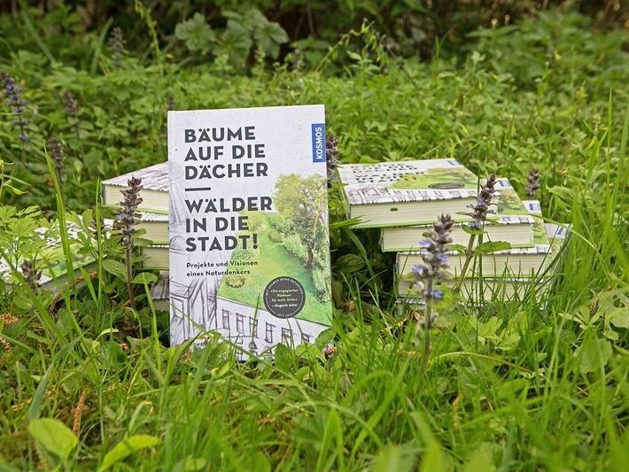 Bücher Conrad Amber