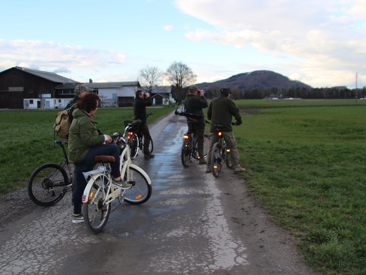 Mit Fahrrad und Fernrohr ins Weitried