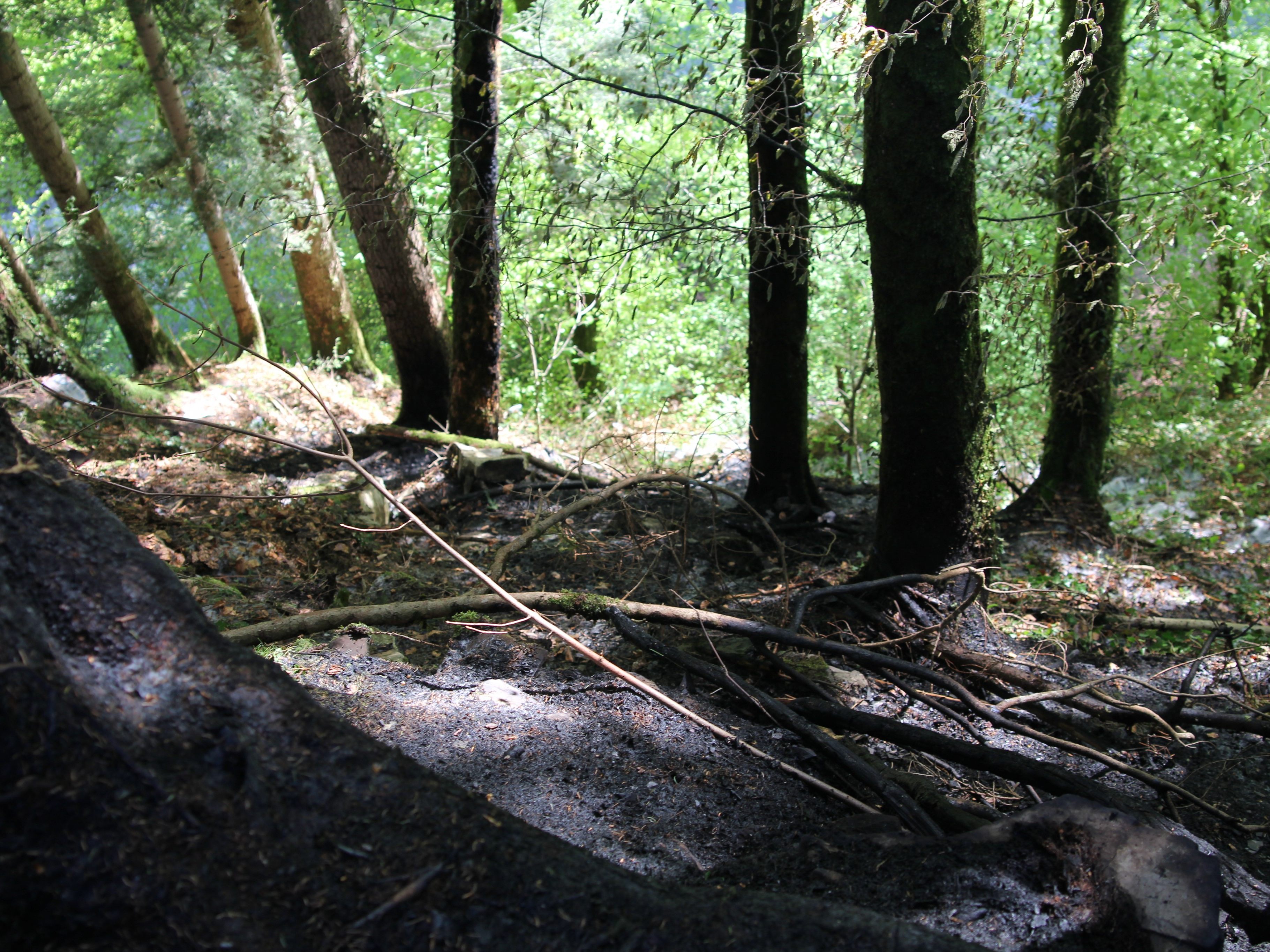 In der Nenzinger Mengschlucht brach am Samstagnachmittag ein Feuer aus. In der Nenzinger Mengschlucht brach am Samstagnachmittag ein Feuer aus.