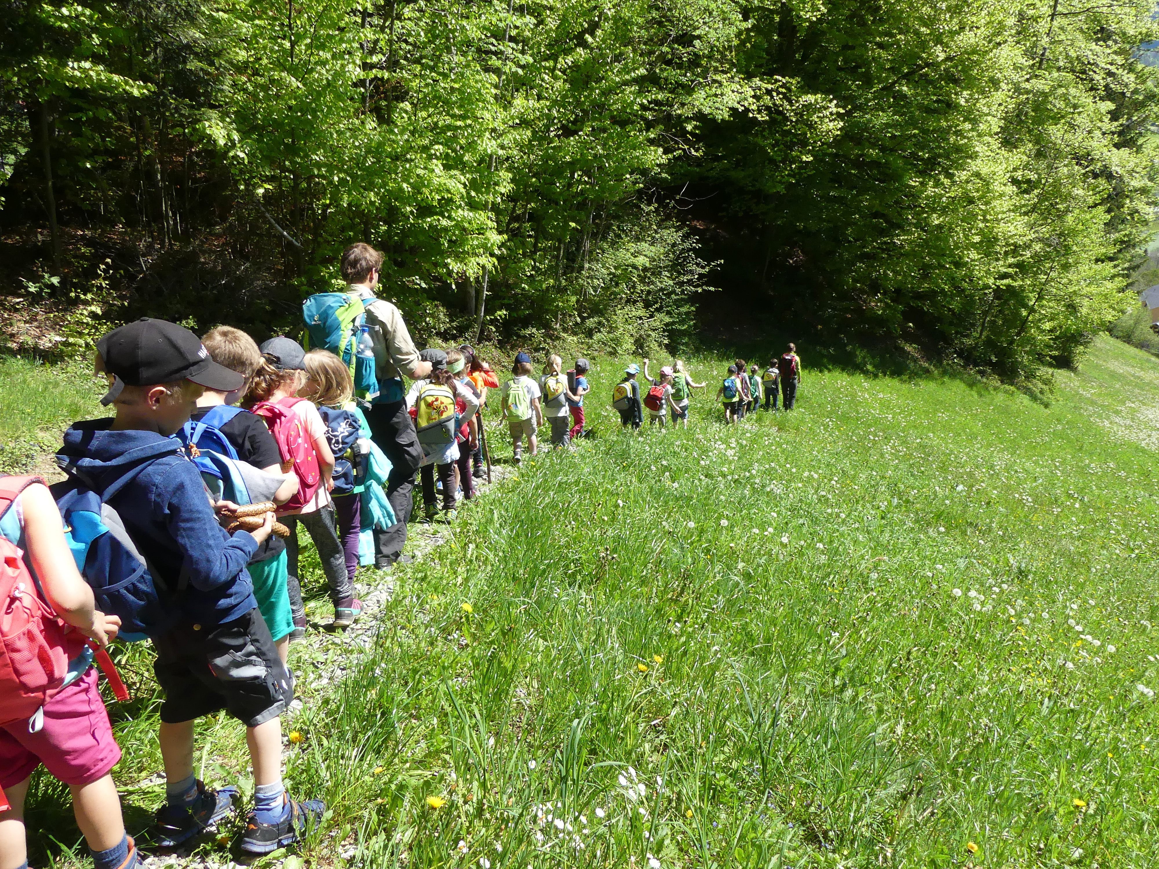 Regelmäßig wird der Naturpark Nagelfluhkette zum Klassenzimmer für die Hittsauer Volksschüler. Regelmäßig wird der Naturpark Nagelfluhkette zum Klassenzimmer für die Hittsauer Volksschüler.
