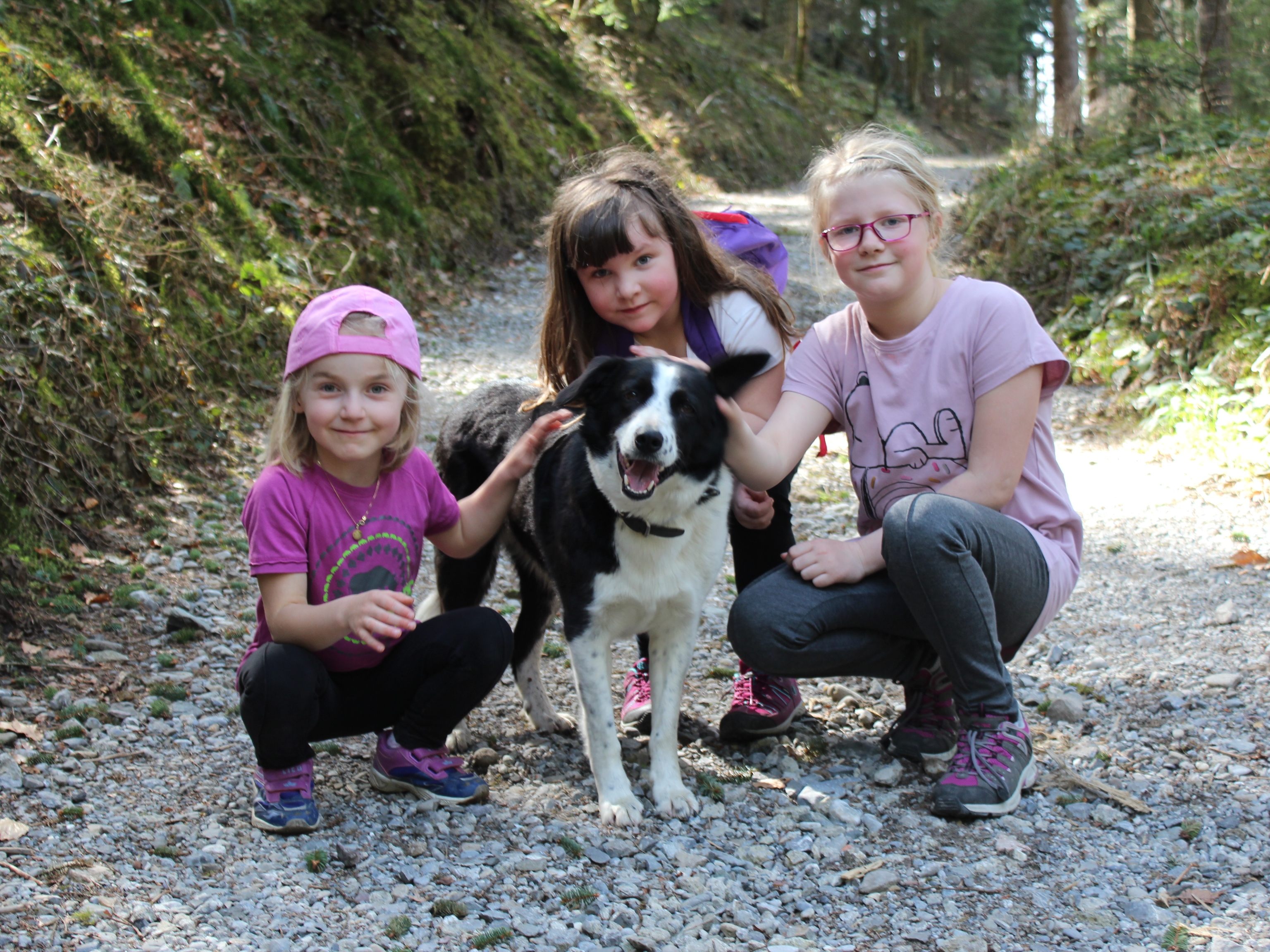 Anna, Michelle und Fabienne mit Hund Luna bei der Waldbegehung in Bildstein. Anna, Michelle und Fabienne mit Hund Luna bei der Waldbegehung in Bildstein.