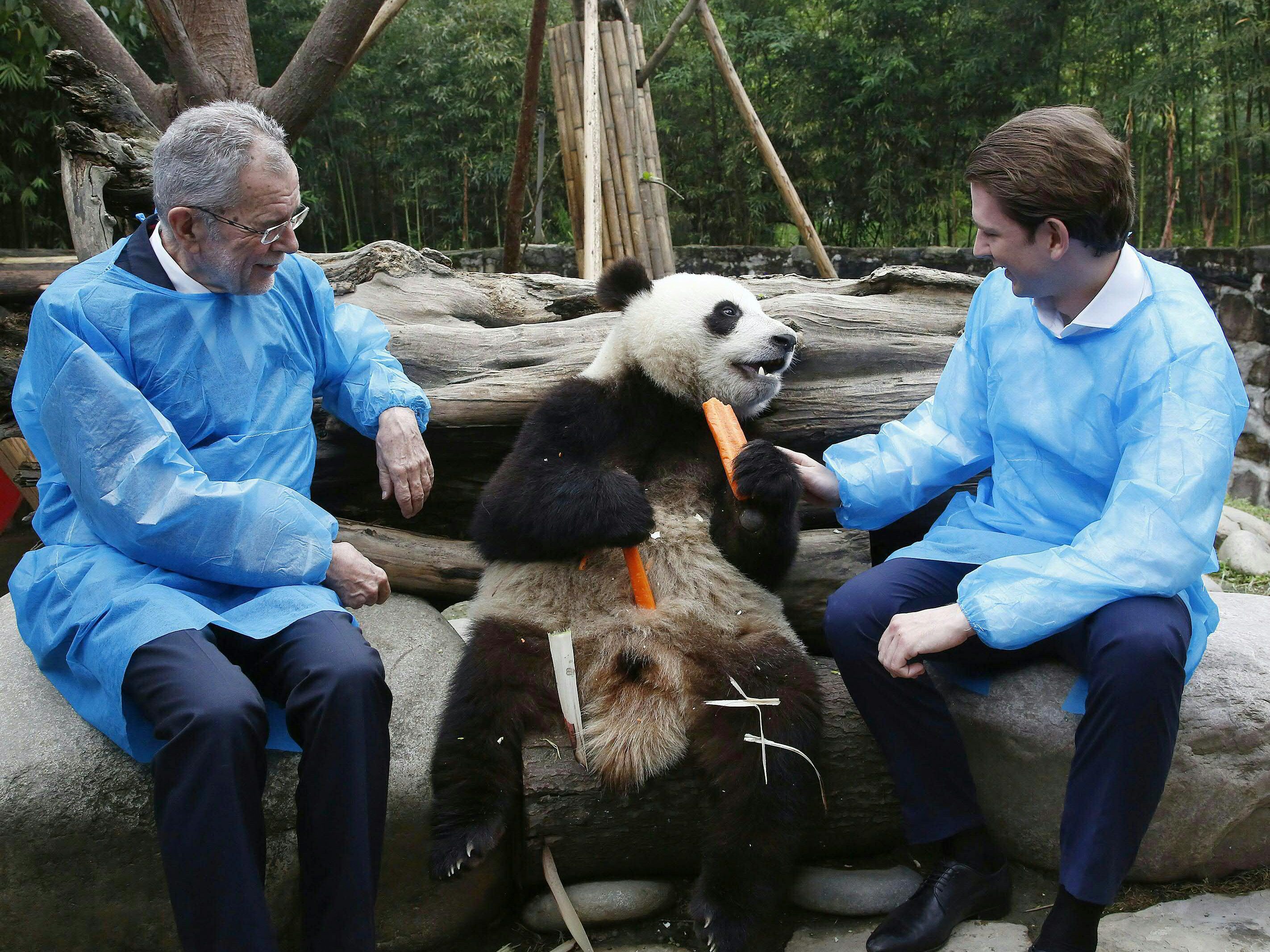 Van der Bellen und Kurz hatten sichtlich Spaß mit den Tieren. Van der Bellen und Kurz hatten sichtlich Spaß mit den Tieren.