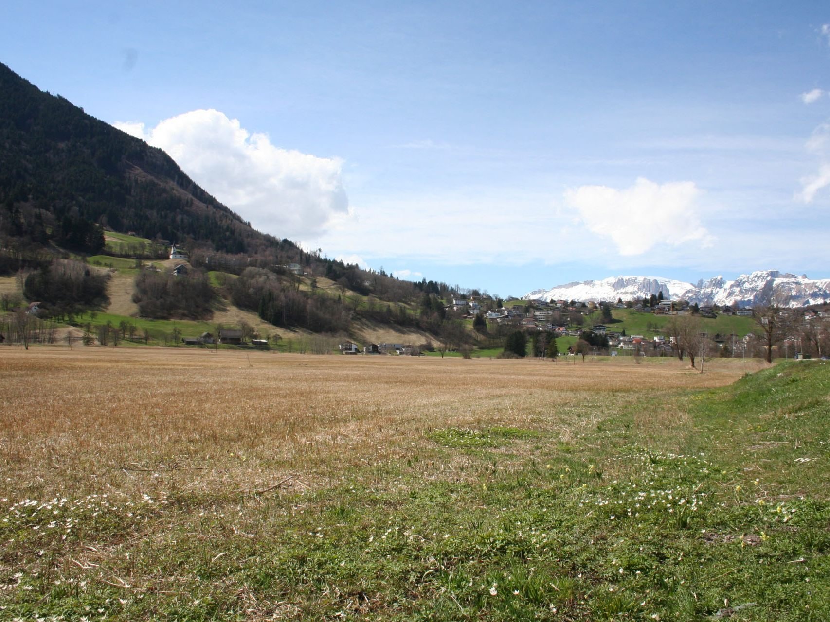 Frastanzer Ried