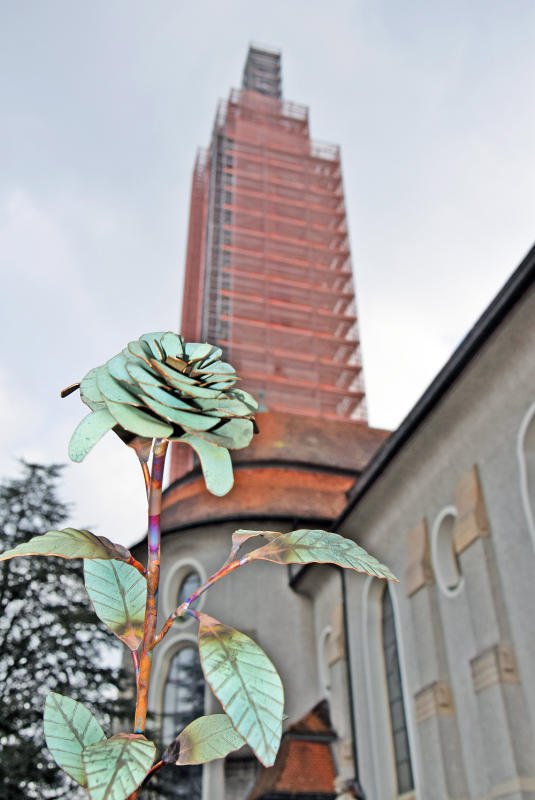 Kupferrose vor dem eingerüsteten Kirchturm Kupferrose vor dem eingerüsteten Kirchturm