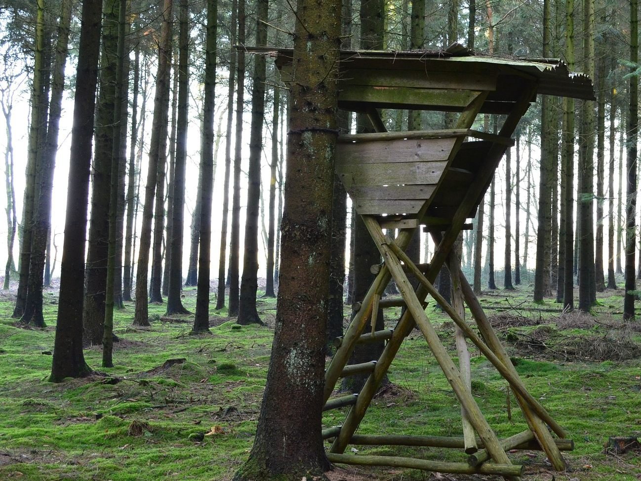Unbekannte haben sechs Jagdstände zerstört. Unbekannte haben sechs Jagdstände zerstört.