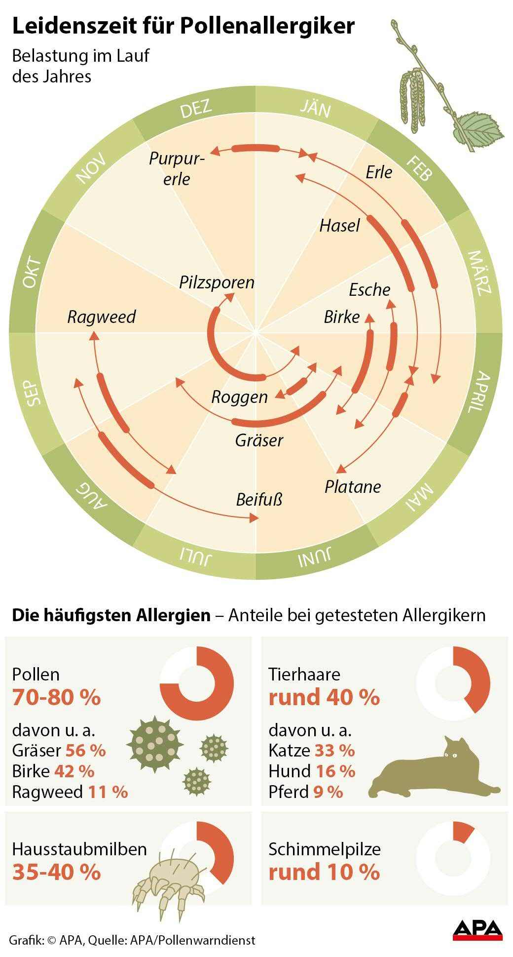 Leidenszeit für Pollenallergiker Leidenszeit für Pollenallergiker