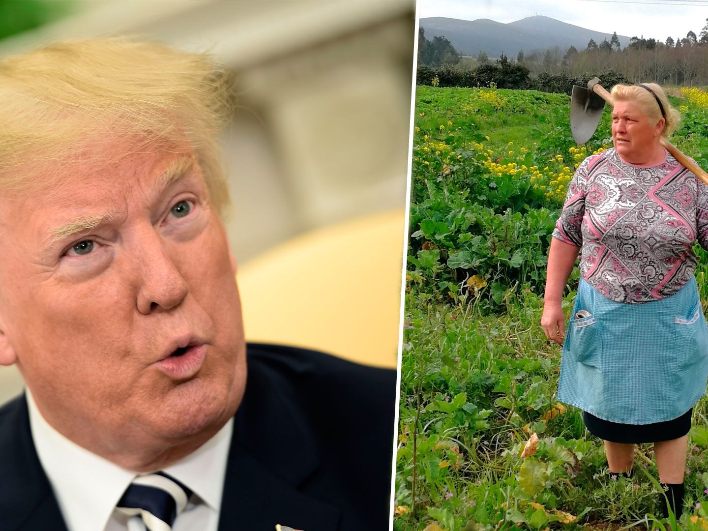 US-Präsident Trump hat eine spanische Doppelgängerin.
