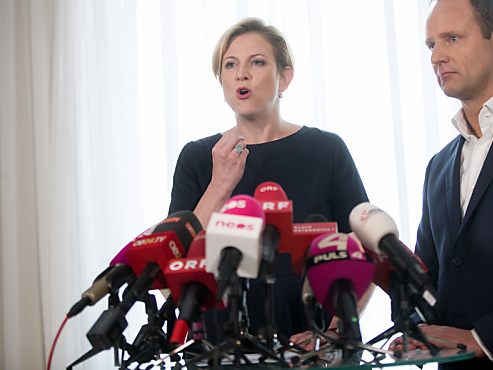 Strolz sieht in potenzieller Nachfolgerin Meinl-Reisinger eine Löwin Strolz sieht in potenzieller Nachfolgerin Meinl-Reisinger eine Löwin