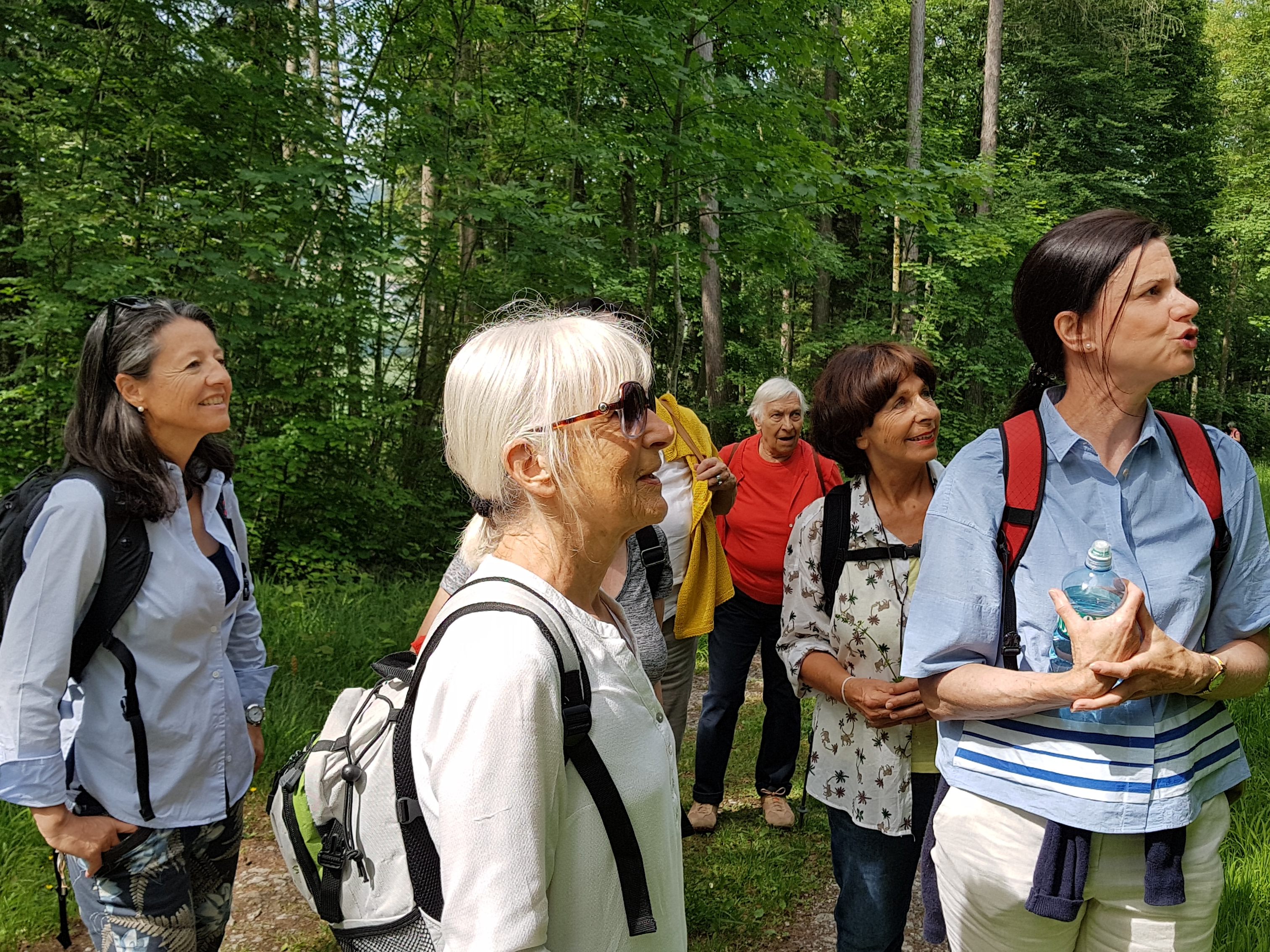 Volkshochschule bietet Literaturvermittlung mit Wandern an.