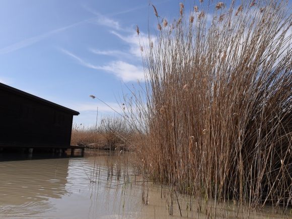 Jener Wiener, der die im Neusiedler See gefundene Frau getötet und zerstückelt haben soll, sagt er sei für keine weiteren Tötungen verantwortlich.