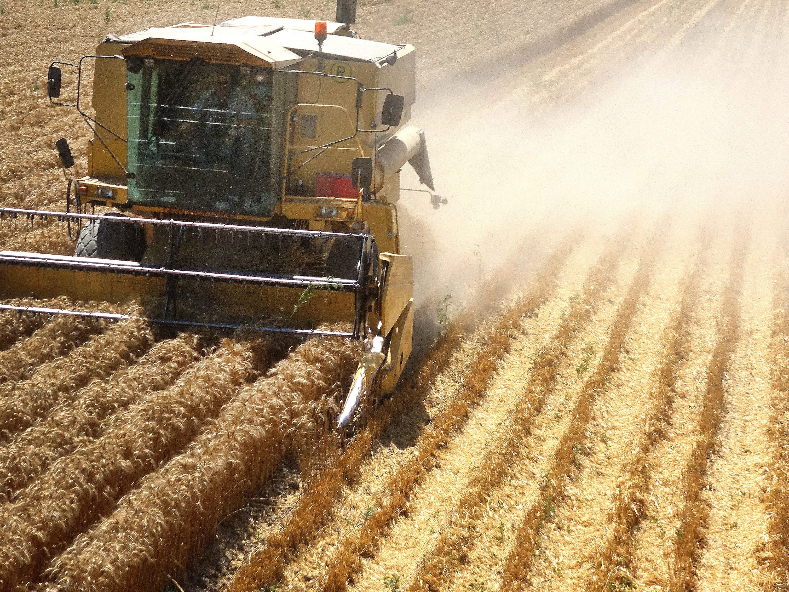 Ist es richtig, im EU-Budget auch bei der Landwirtschaft zu kürzen?