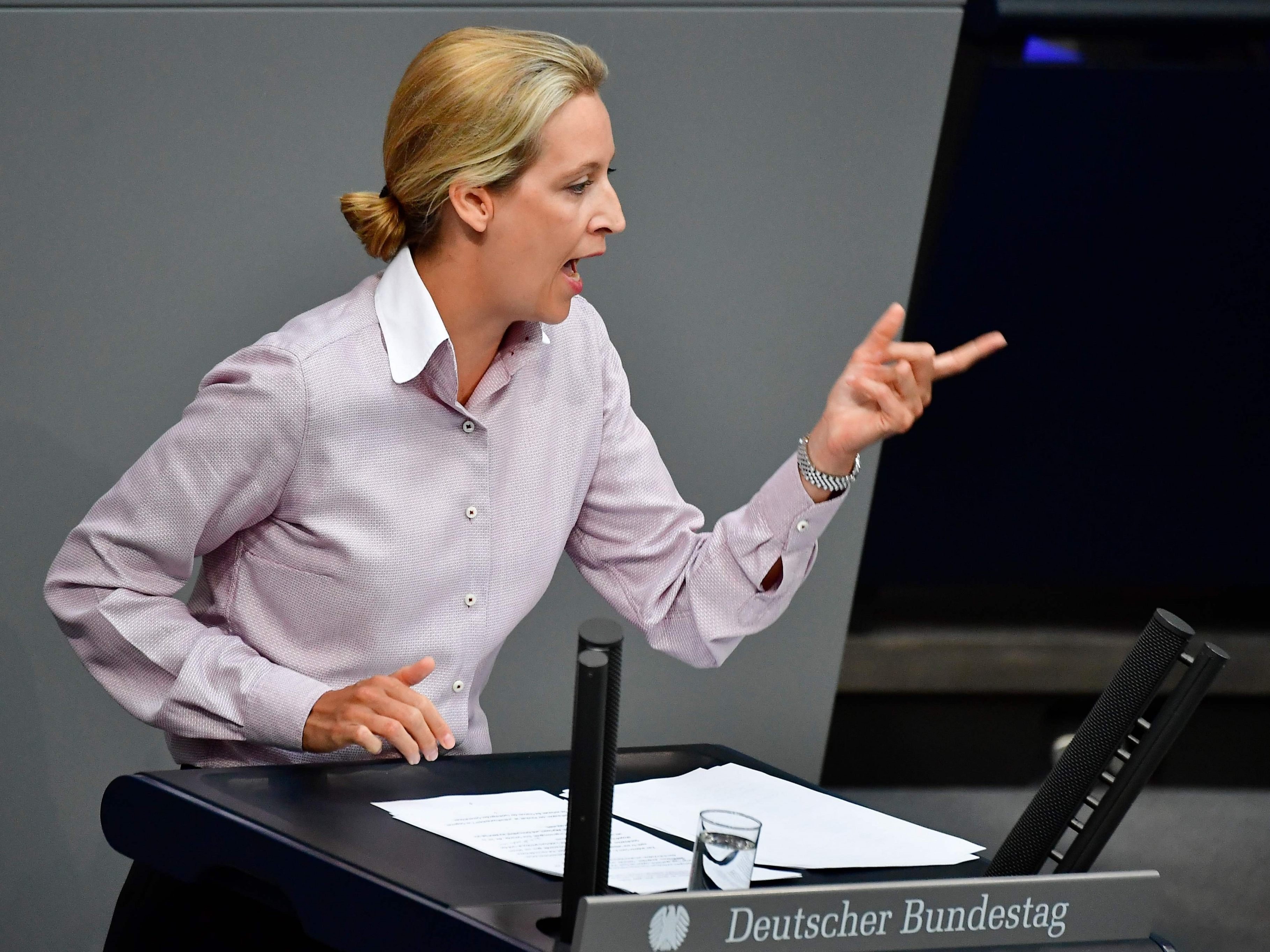Kritik an Weidel nach "Kopftuchmädchen" und "Taugenichtse"-Sager.