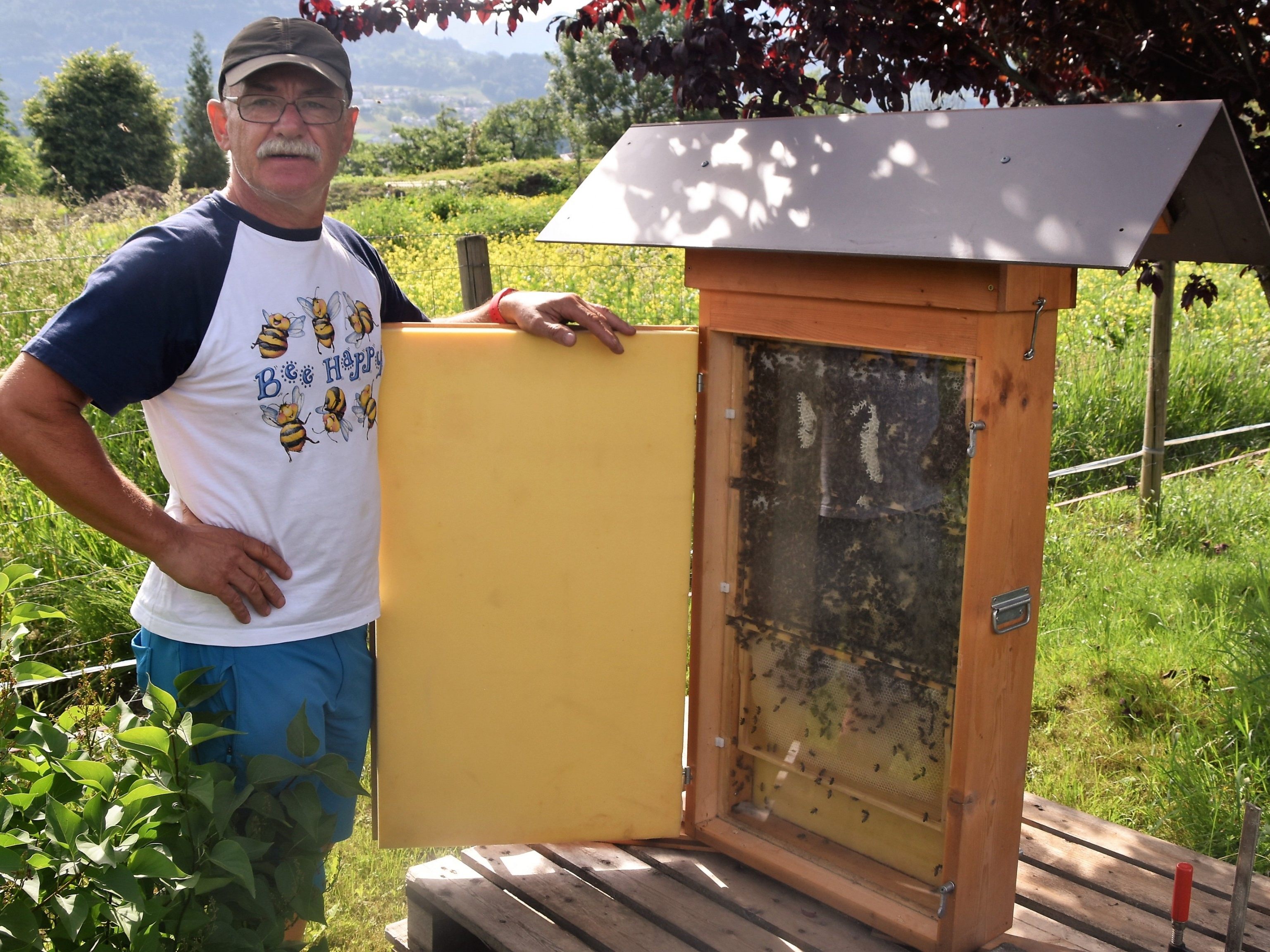 Tag des offenen Bienenstocks