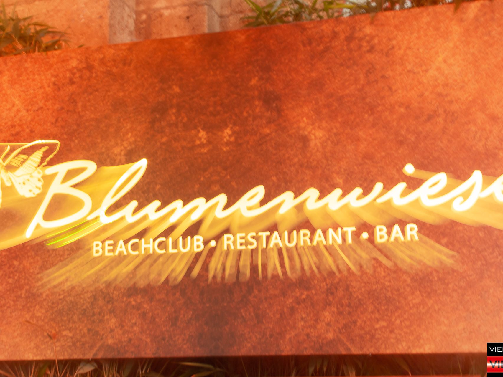 VIP Eröffnung -Die Blumenwiese - 24.05.2018 Teil 2/2