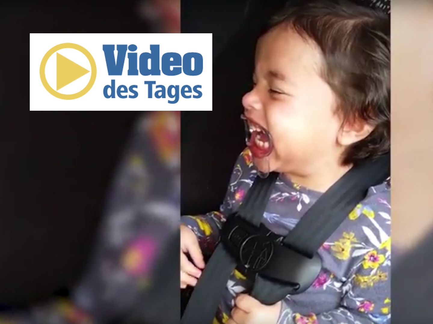 Achtung ansteckendes Lachen!