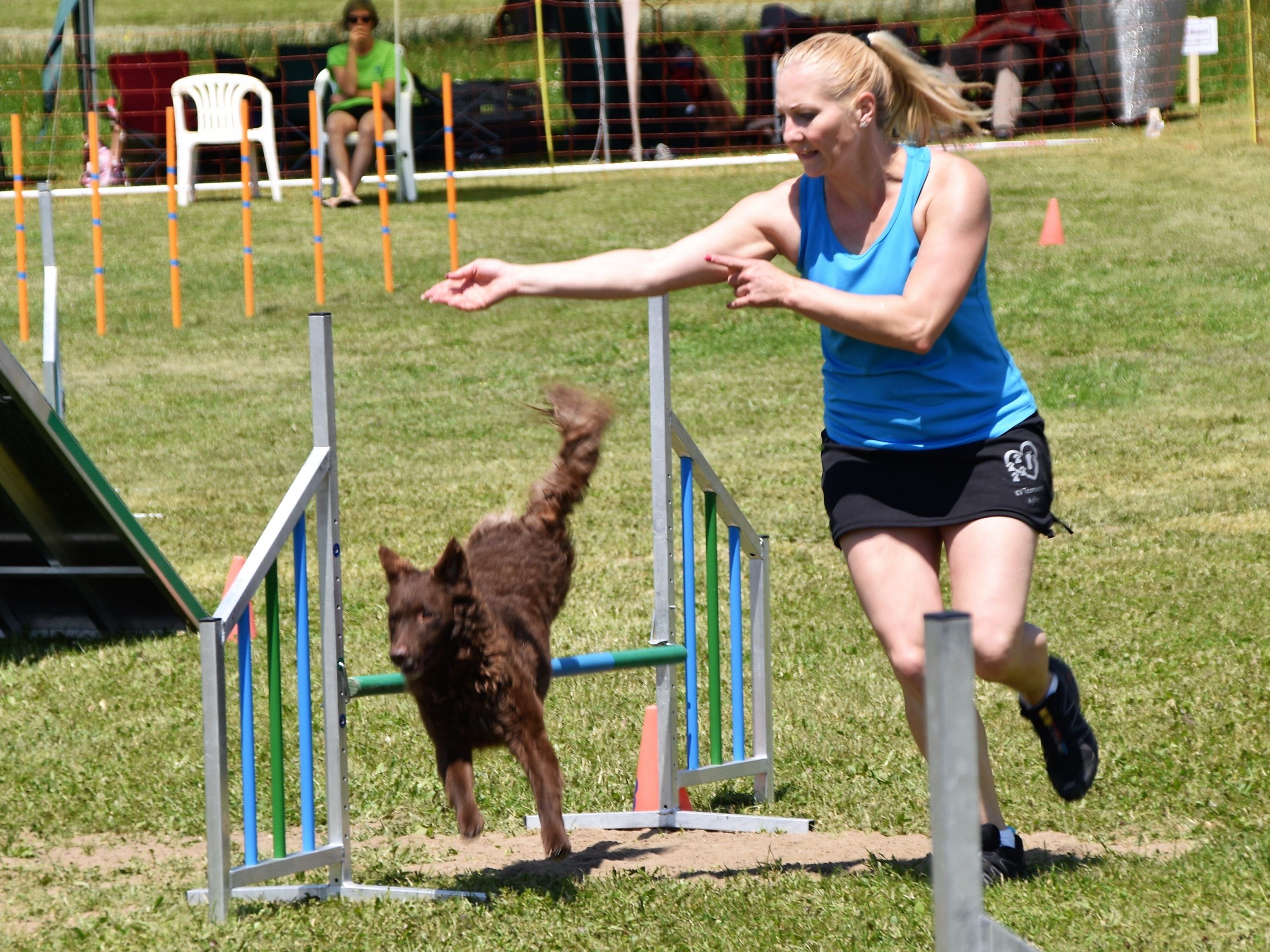 Agilitysport für Vierbeiner: Wenn Mensch und Hund eine Einheit bilden Agilitysport für Vierbeiner: Wenn Mensch und Hund eine Einheit bilden