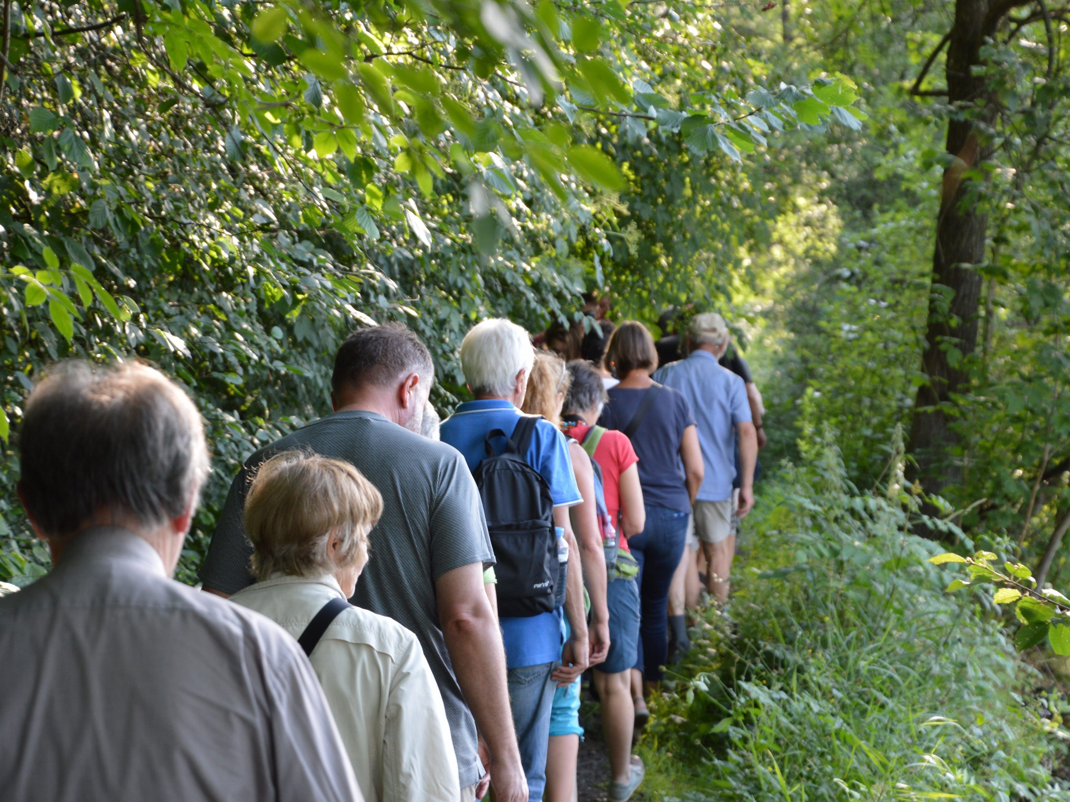 Wanderung entlang des Alten Rheins