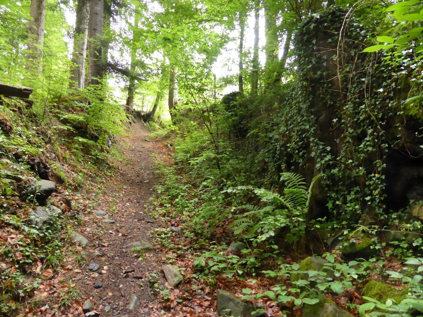 Hohlweg nach Vika Hohlweg nach Vika