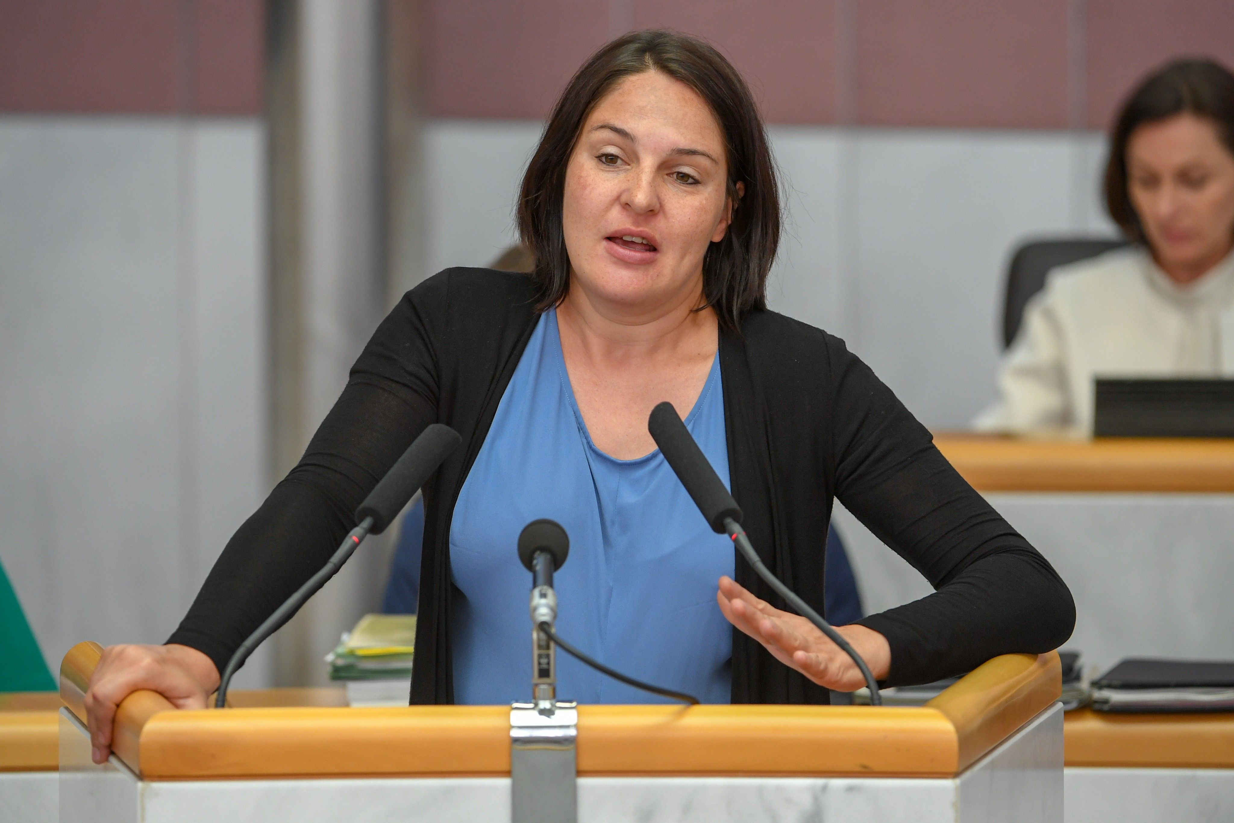 ÖVP-Wirtschaftssprecherin Monika Vonier ÖVP-Wirtschaftssprecherin Monika Vonier