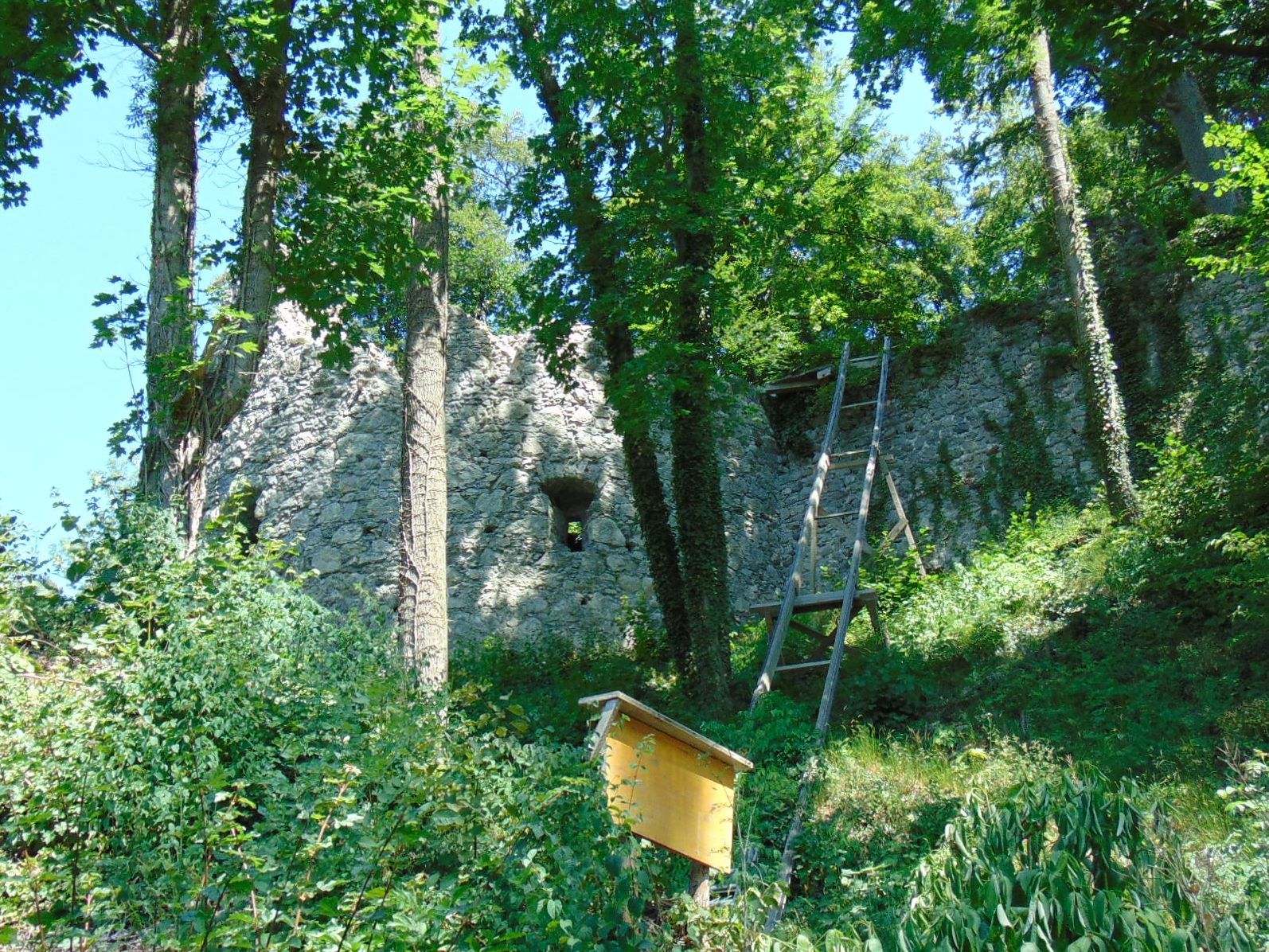 Auch in diesem Jahr wird auf der Neuburg wieder gearbeitet