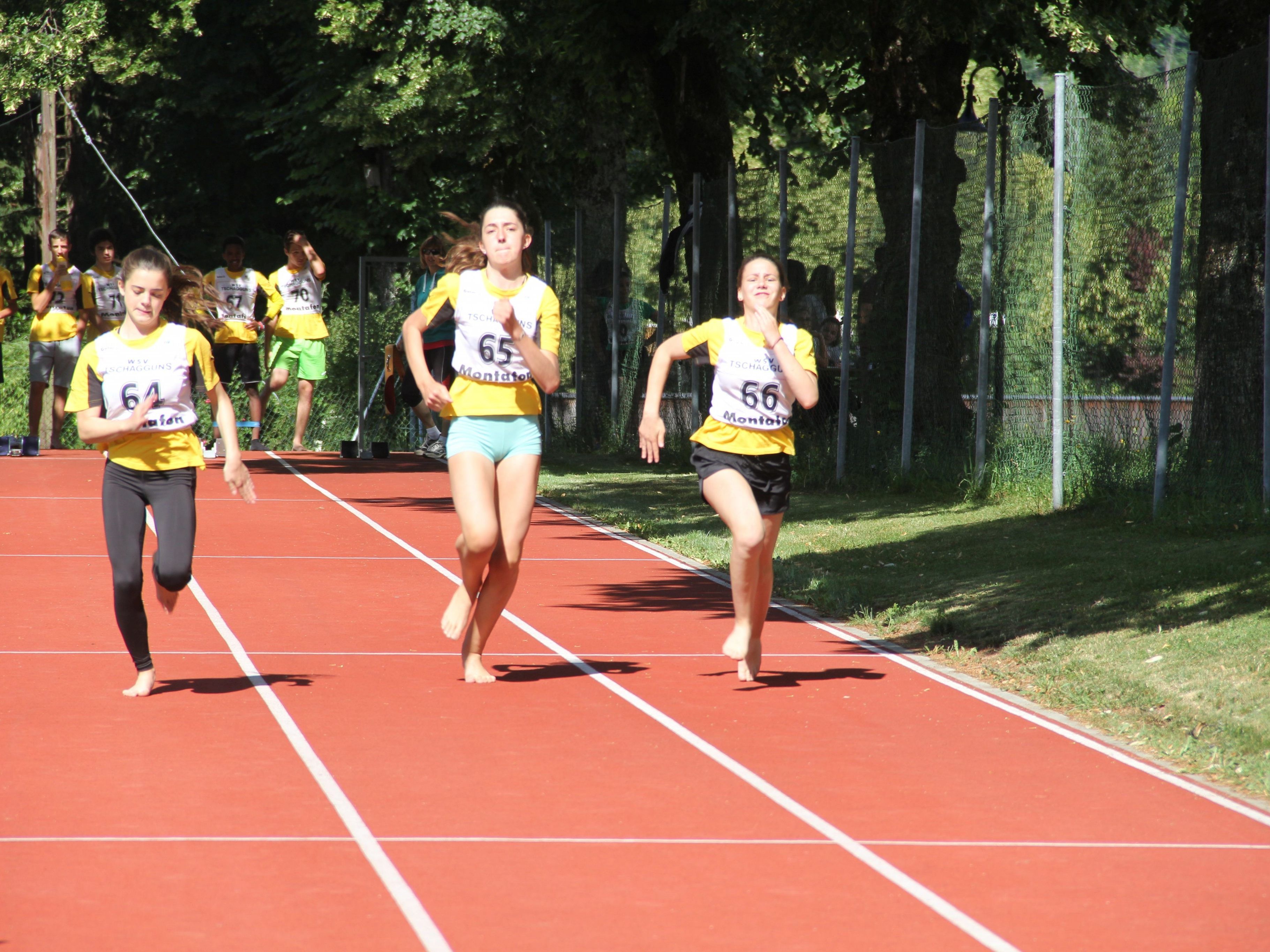 Ansprechende Leistungen sah man zahlreiche an diesem Vormittag bei den Leichtathletik-Bewerben. Ansprechende Leistungen sah man zahlreiche an diesem Vormittag bei den Leichtathletik-Bewerben.