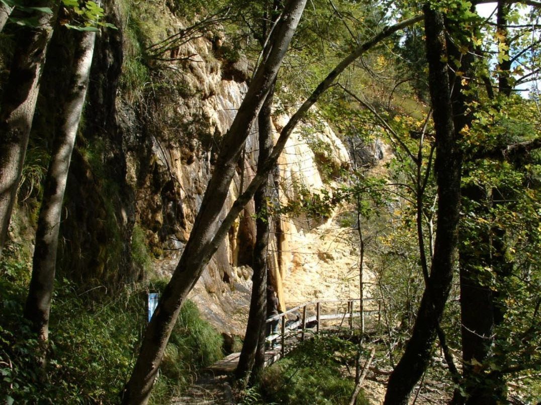 Ein außergewöhnliches Naturdenkmal