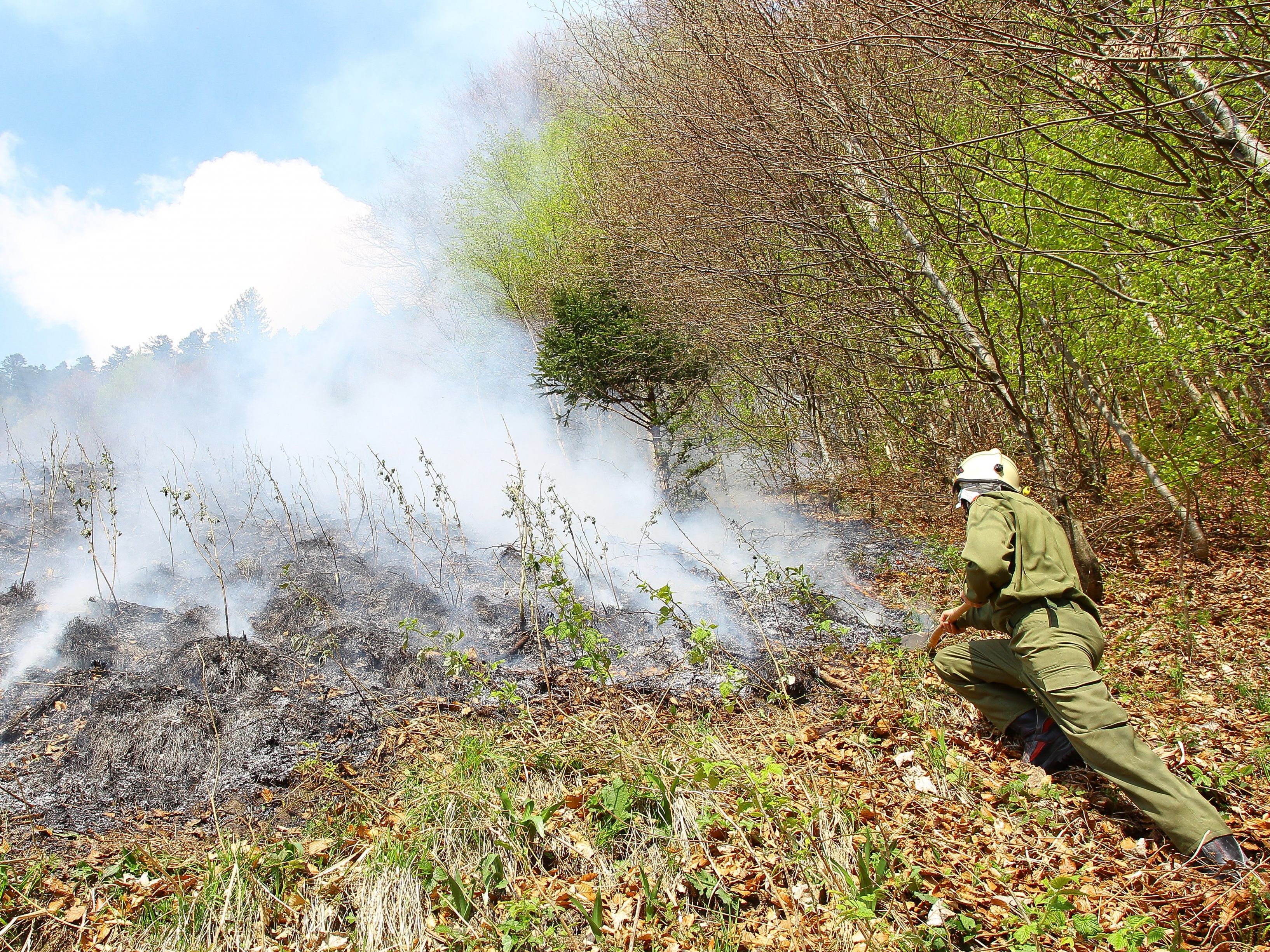 Gefahr von Waldbränden hat zugenommen