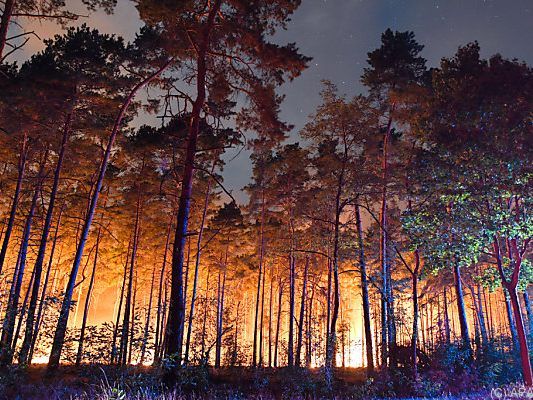 Der Brandort liegt nur etwa 50 Kilometer von Berlin entfernt