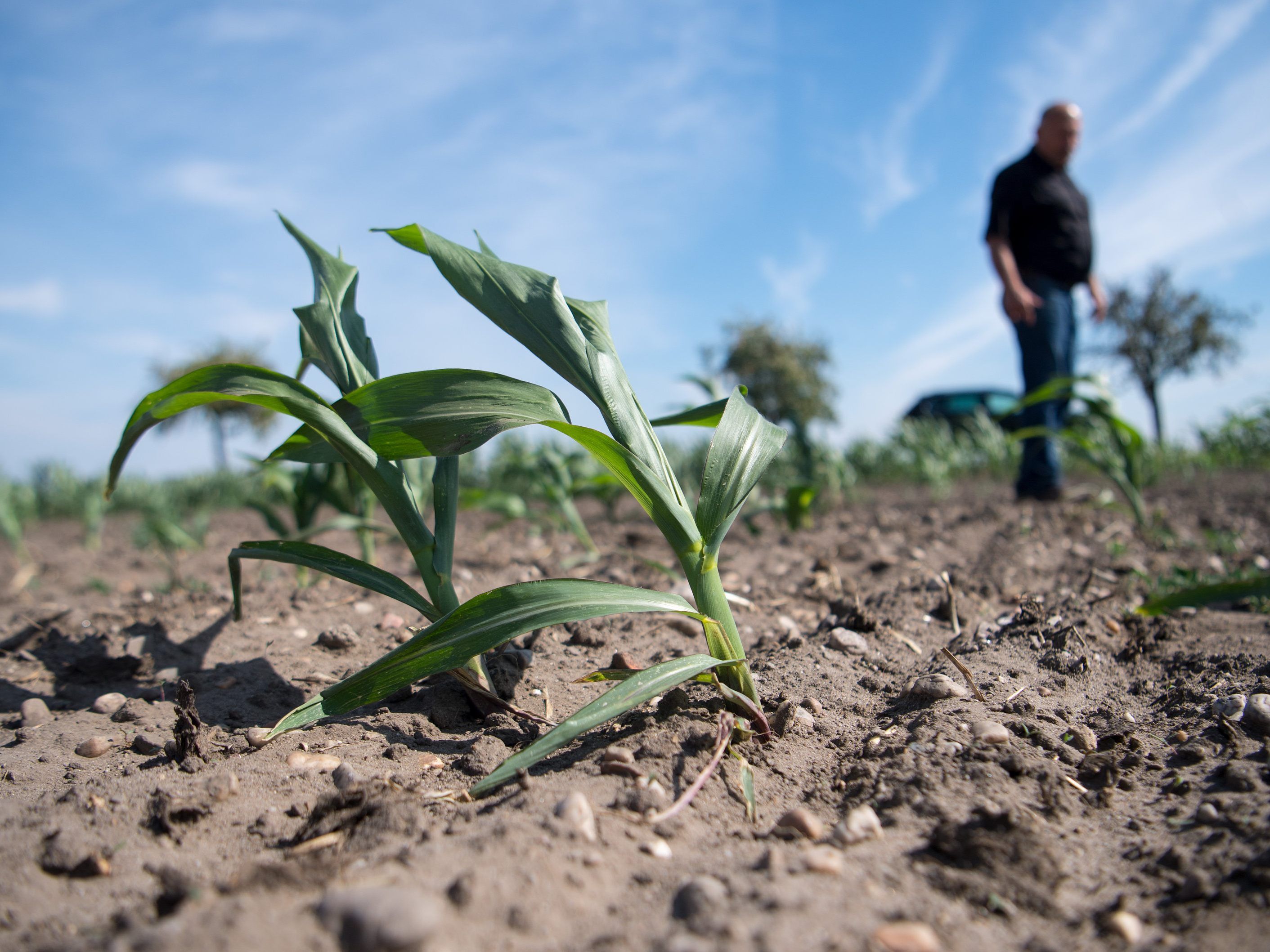 Derzeit ist die Erde im Durchschnitt bereits gut ein Grad wärmer als noch vor Beginn der Industrialisierung.