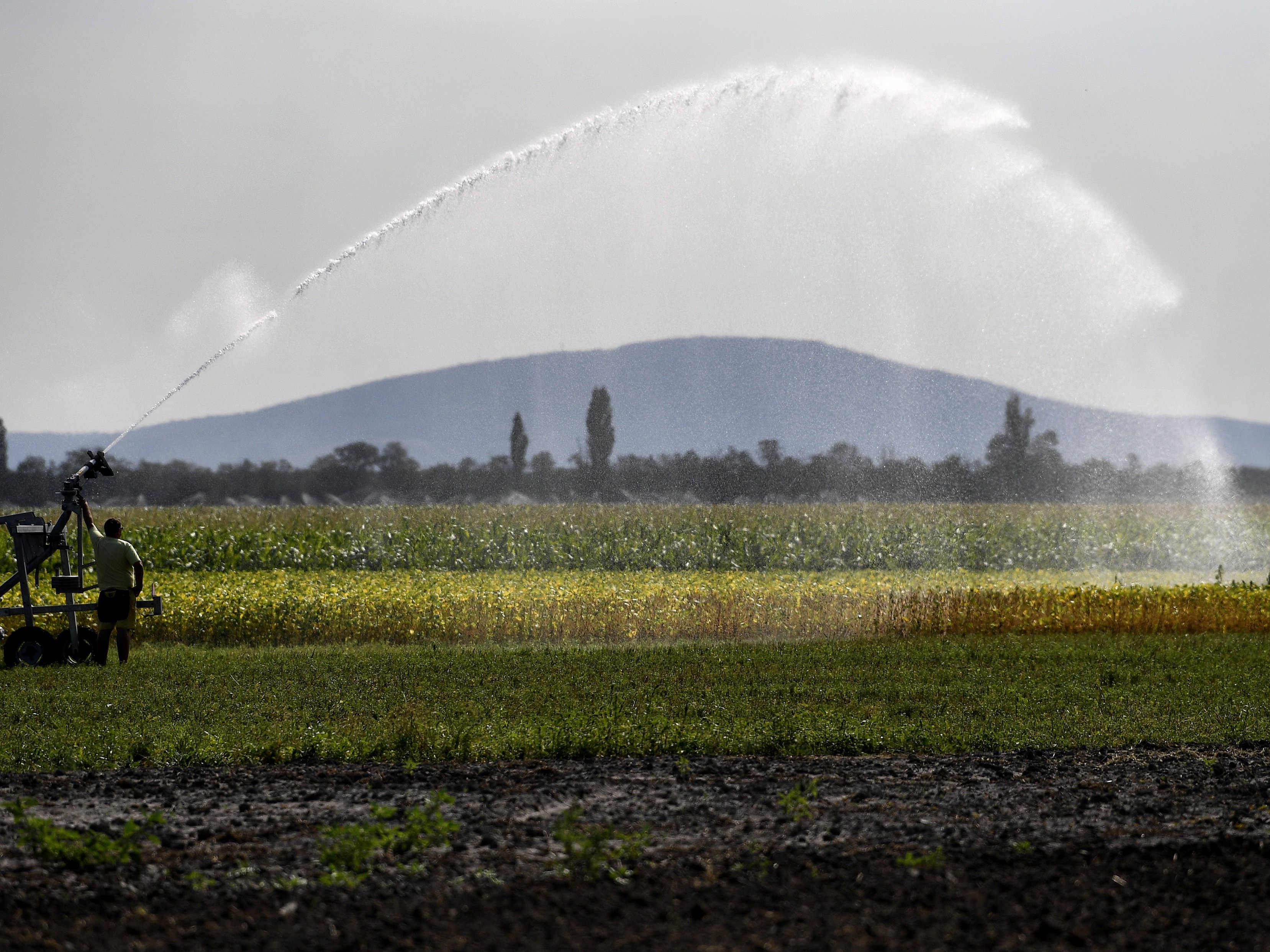 Die grundwasserstände in Österreich sind derzeit sehr niedrig. Die grundwasserstände in Österreich sind derzeit sehr niedrig.