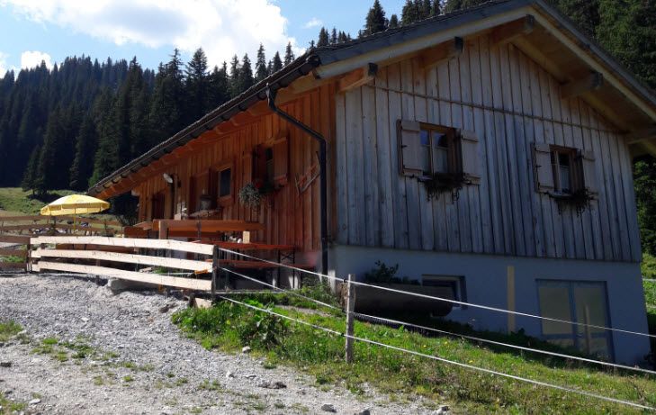 Die Rinderalpe Nova auf 1560 Meter ü.d.M. in St. Gallenkirch: Die anhaltende Trockenheit wird für die Alpwirtschaft zunehmend zum Problem. 