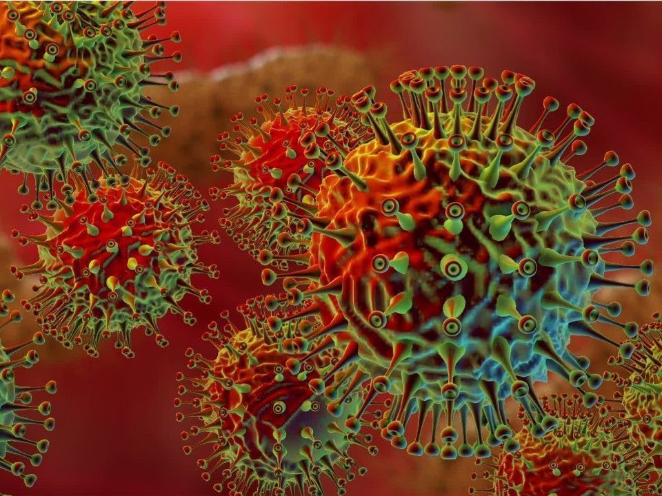 Super-Virus: Eine Gefahr für die Menschheit?