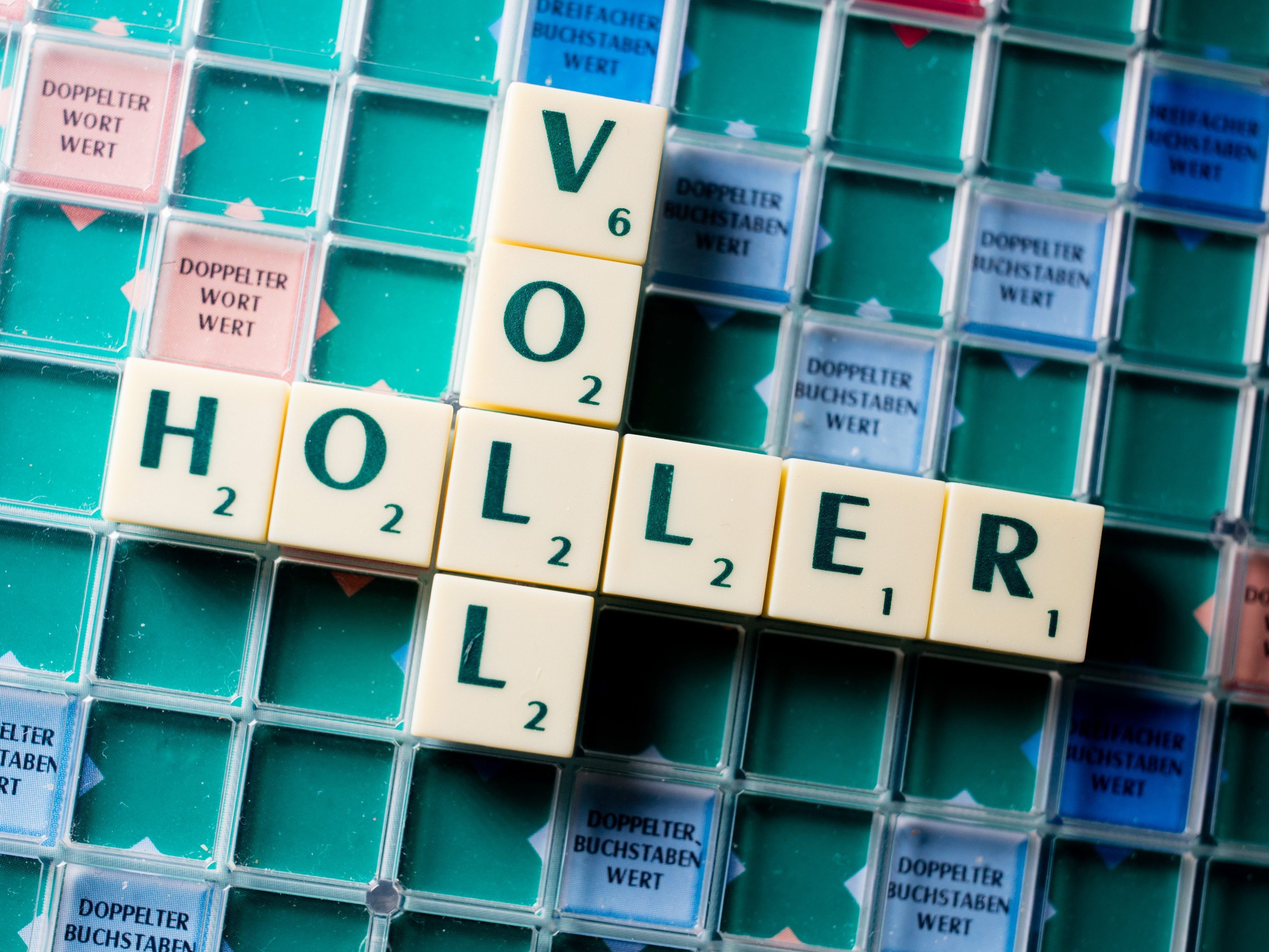 Ein Nachfolger für "Vollholler" wird gesucht. Ein Nachfolger für "Vollholler" wird gesucht.