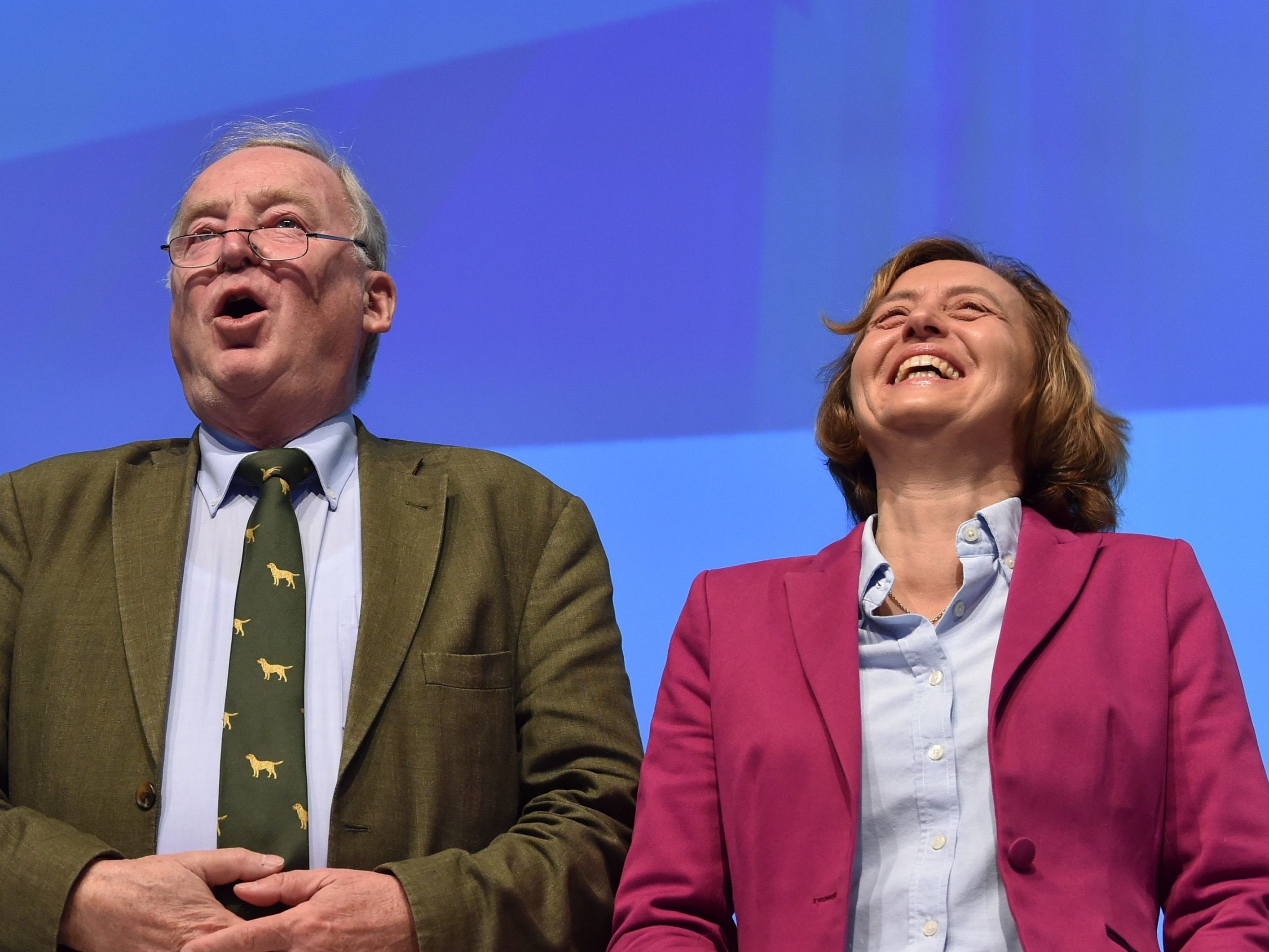 AfD im Höhenflug AfD im Höhenflug
