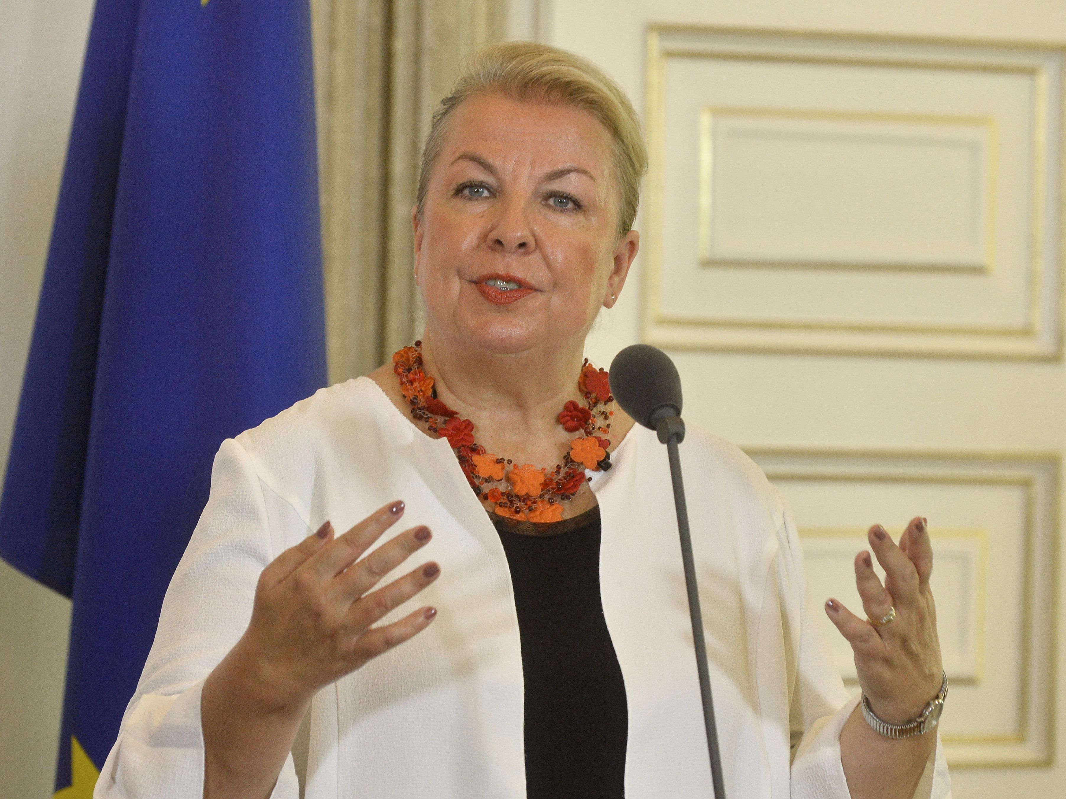 Beate Hartinger-Klein spricht über Digitalisierung und Arzneimittelversorgung. Beate Hartinger-Klein spricht über Digitalisierung und Arzneimittelversorgung.