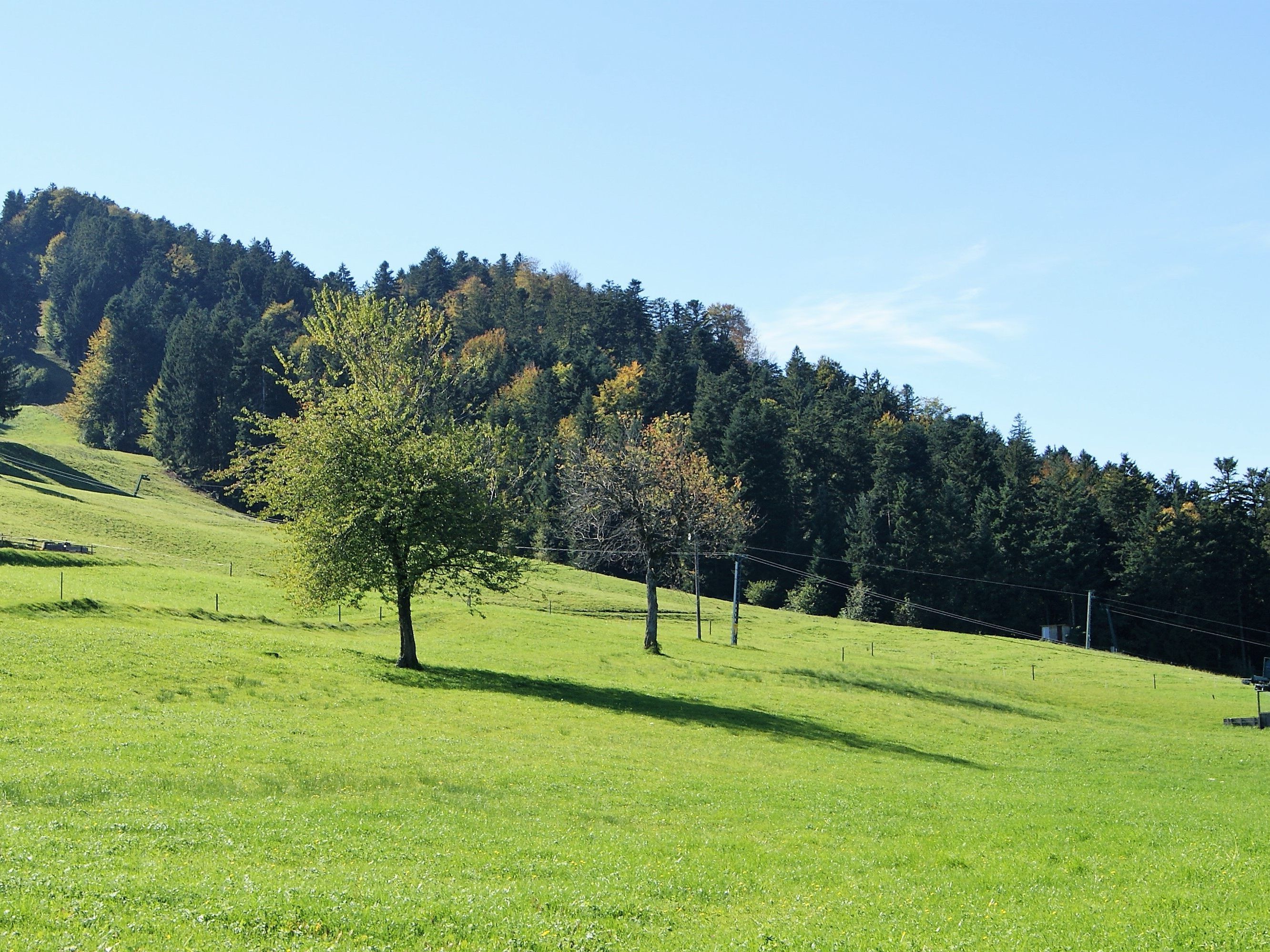 Auch abseits der Bergmesse ist der Bucher Hausberg ein beliebtes Ziel. Auch abseits der Bergmesse ist der Bucher Hausberg ein beliebtes Ziel.